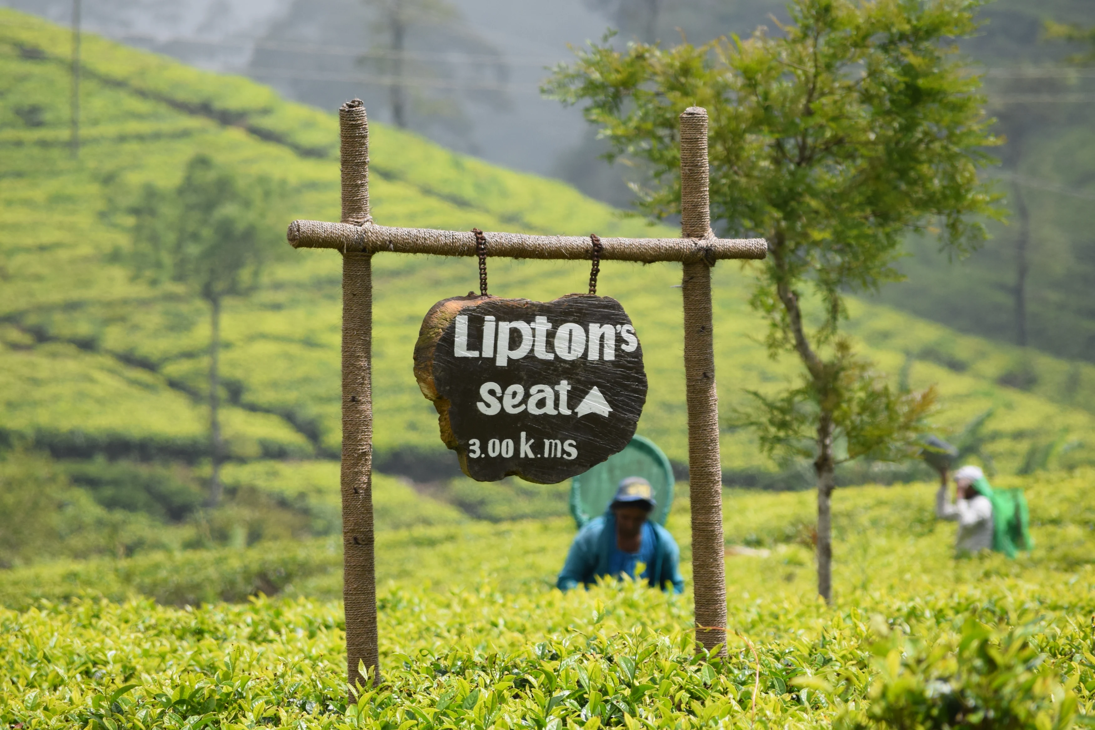 LK-Shutterstock-Lipton Seat.webp