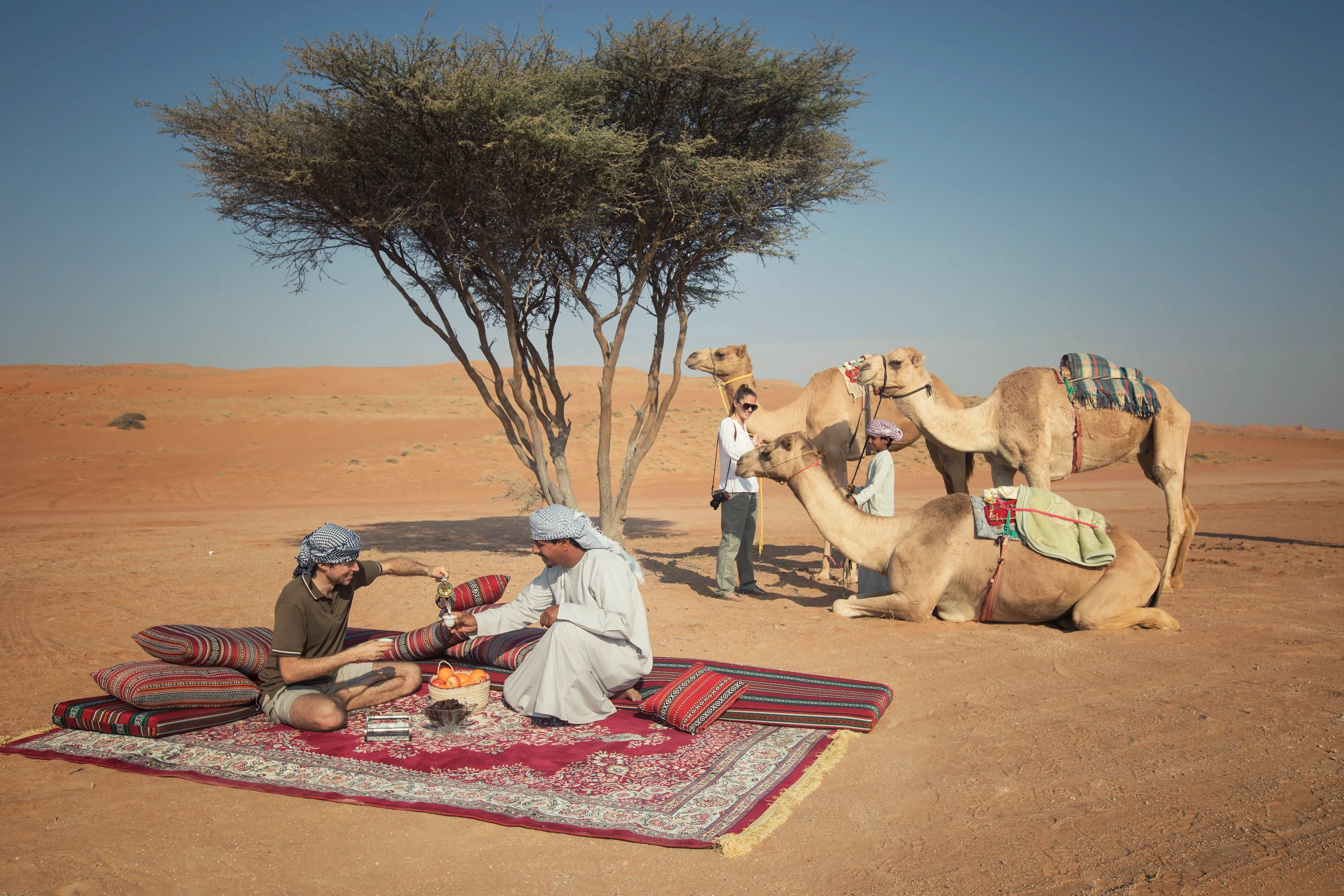 OM - Desert Adventure.webp