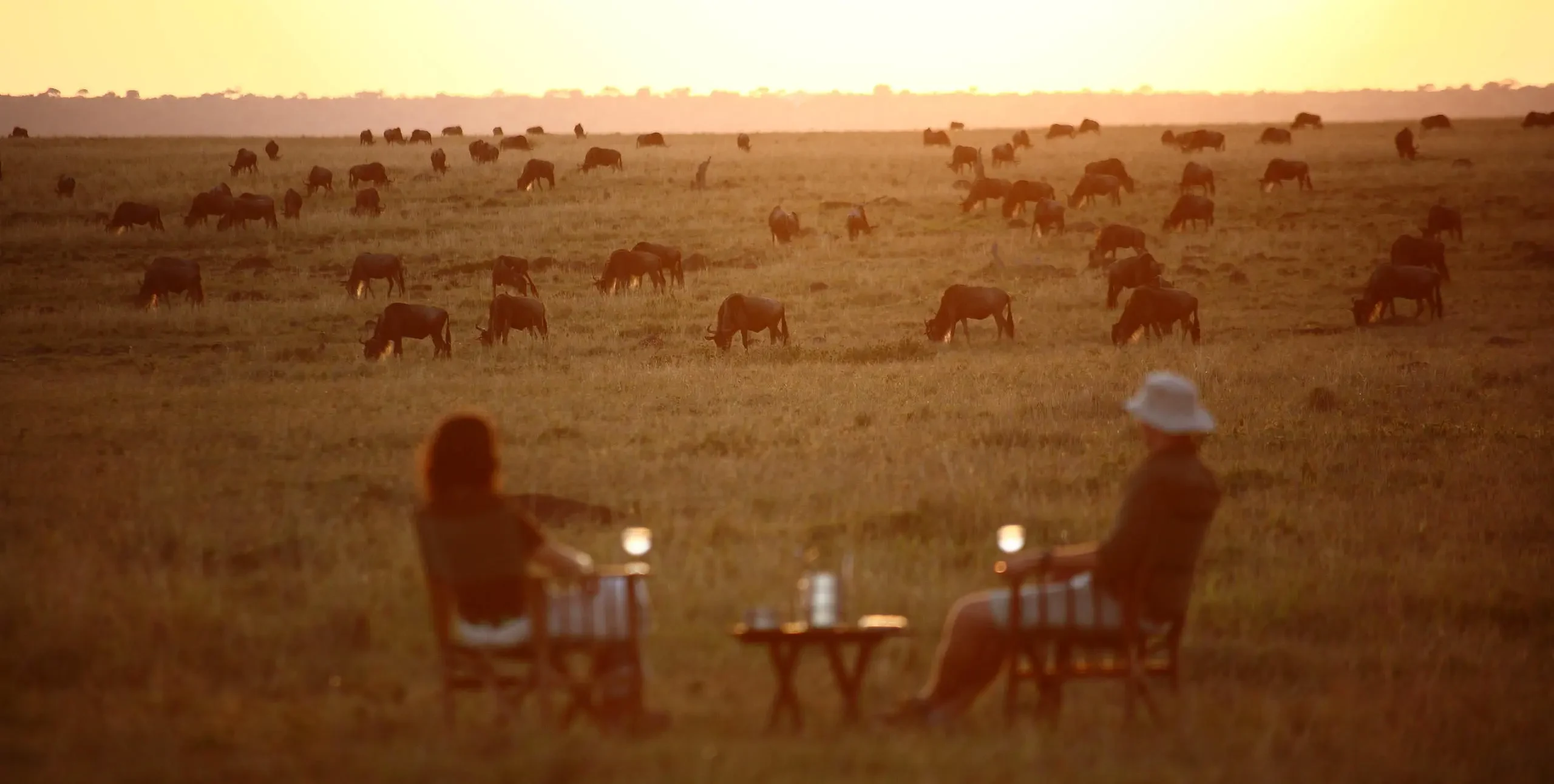 KE-Elephant Pepper Camp-sundowners_2.webp