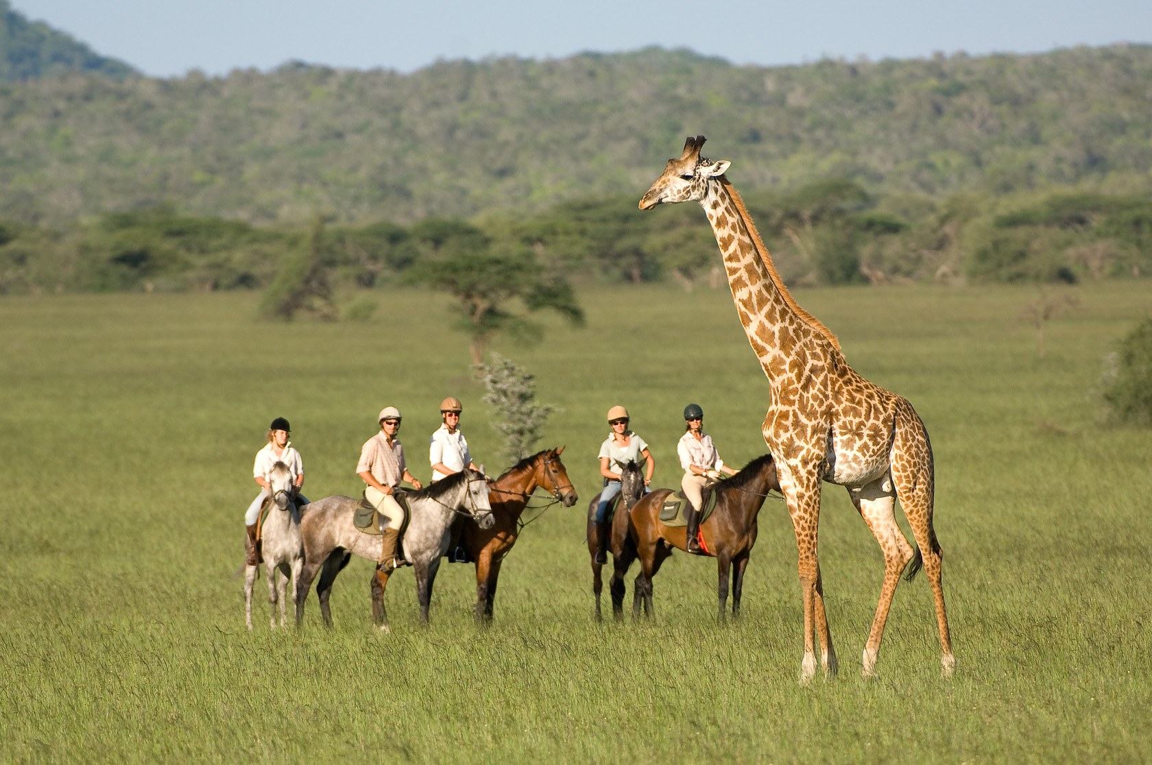 Horseriding safari (4).jpg