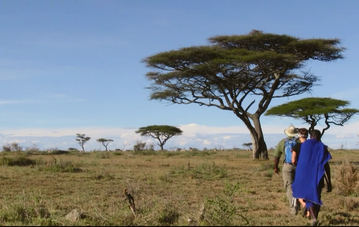 TZ-Namiri Plains-walking.webp
