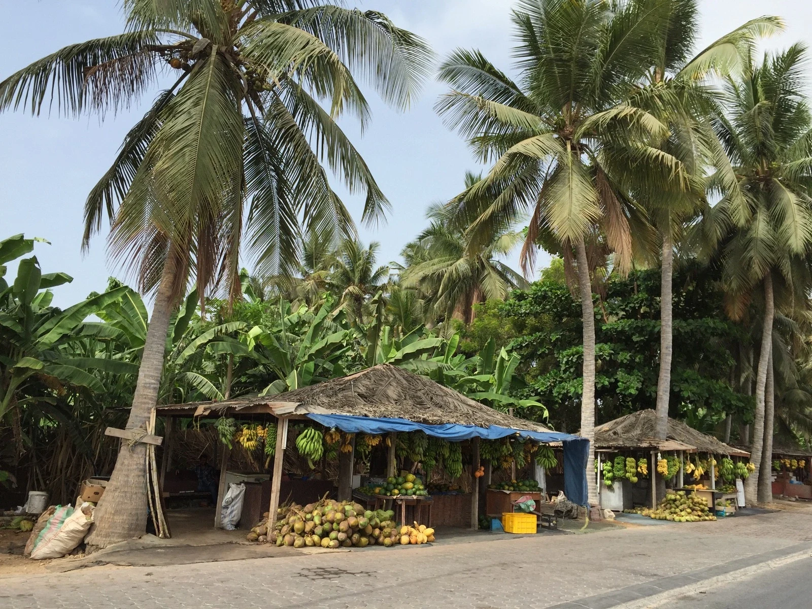 OM_-_Salahah_-_Fruit_stand_city_tour.webp