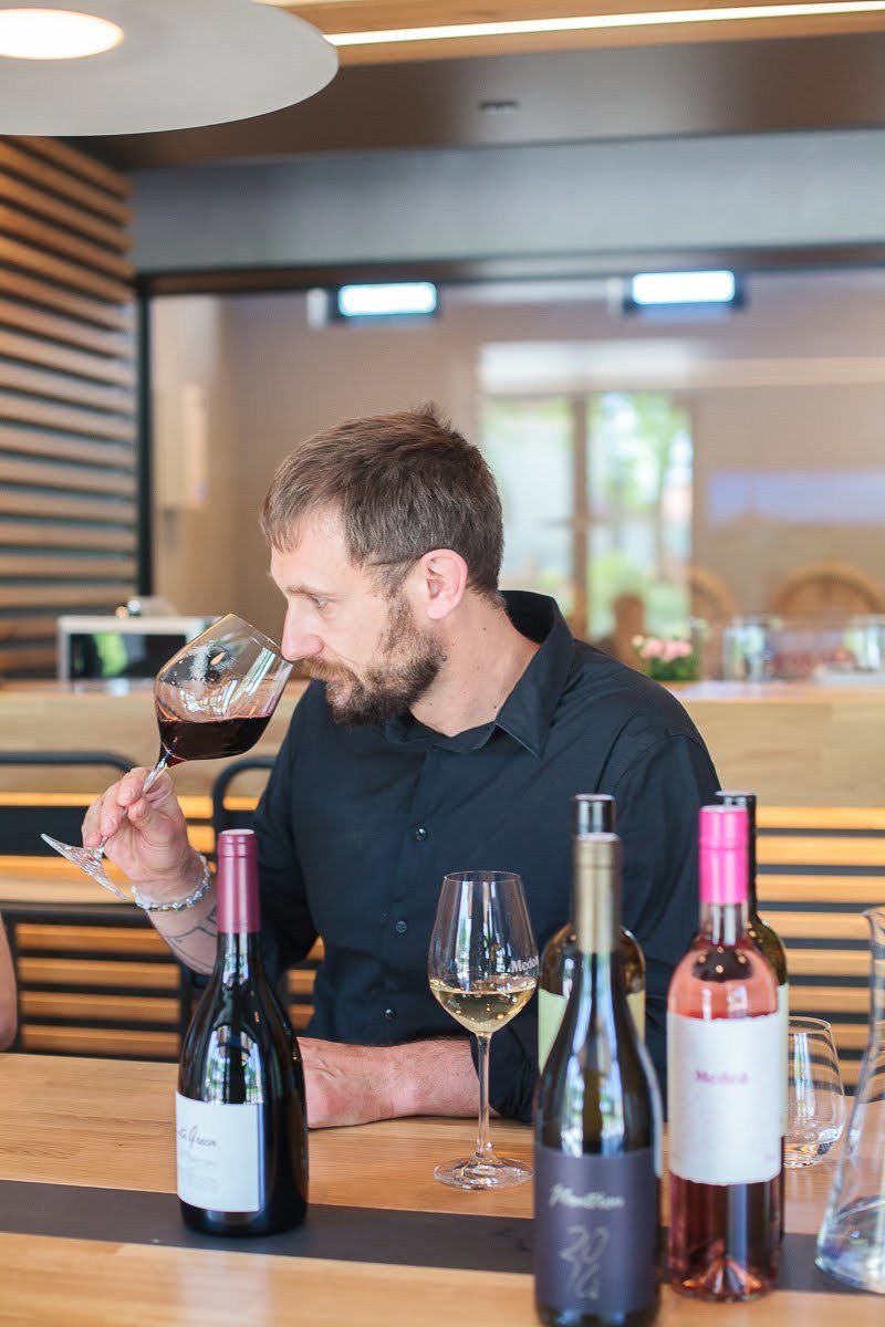 HR - Rovinj - Excursie - Exclusieve wijnexcursie Istrie 2.jpg