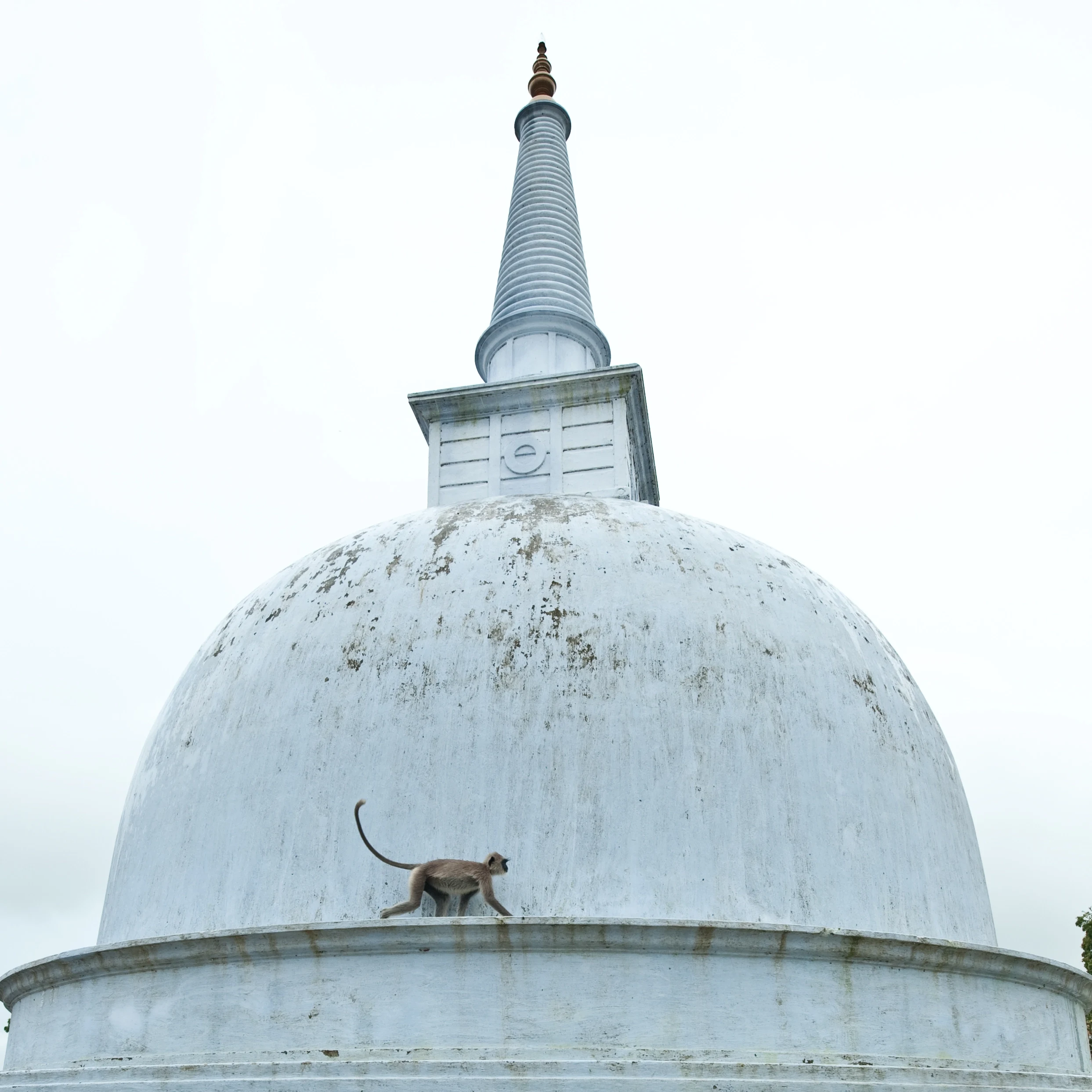 LK-Anuradhapura-Vrouwenhof dome .webp