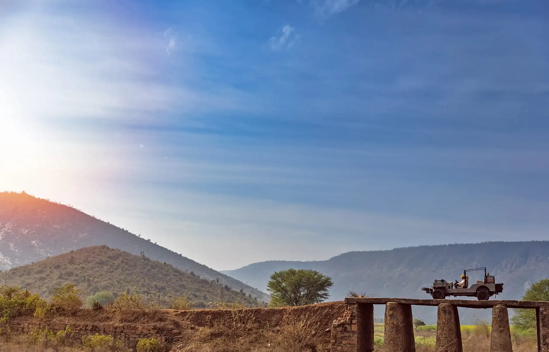 IN-Amanbagh-Cow-Dust-Tour.webp