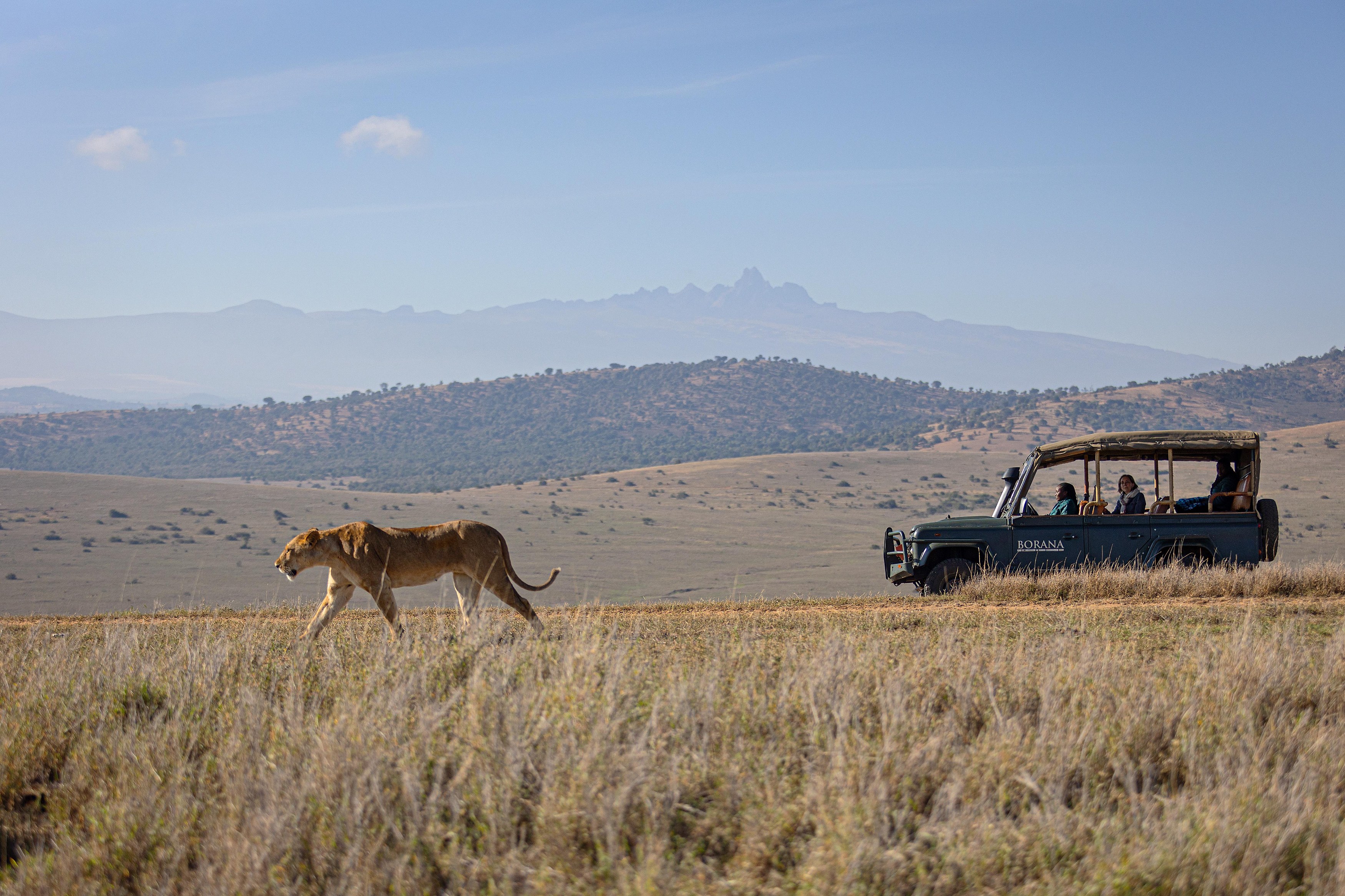KE-Borana-game-drive-mount-kenya.jpg