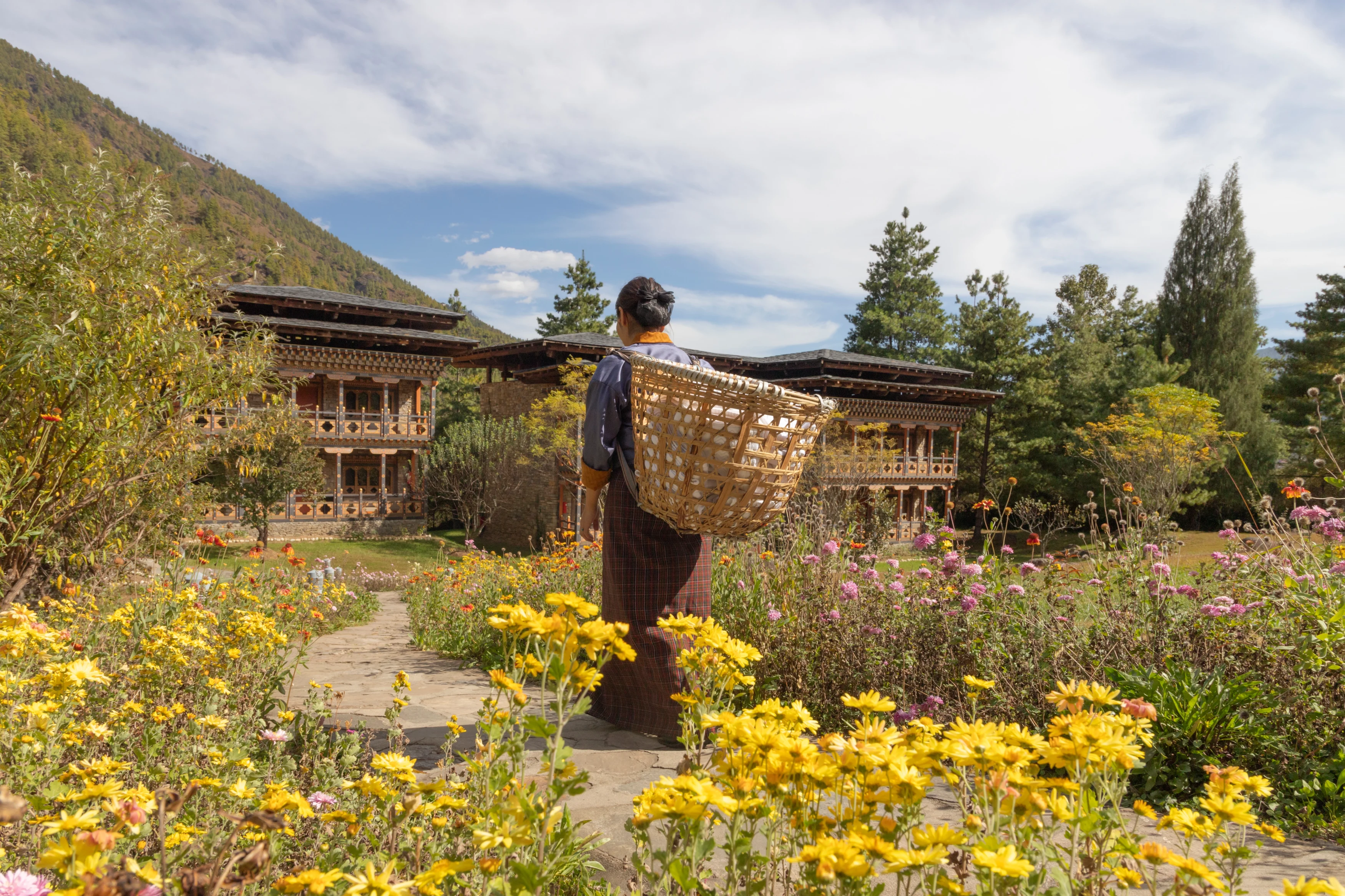 BT-Zhiwa Ling Paro (2).webp