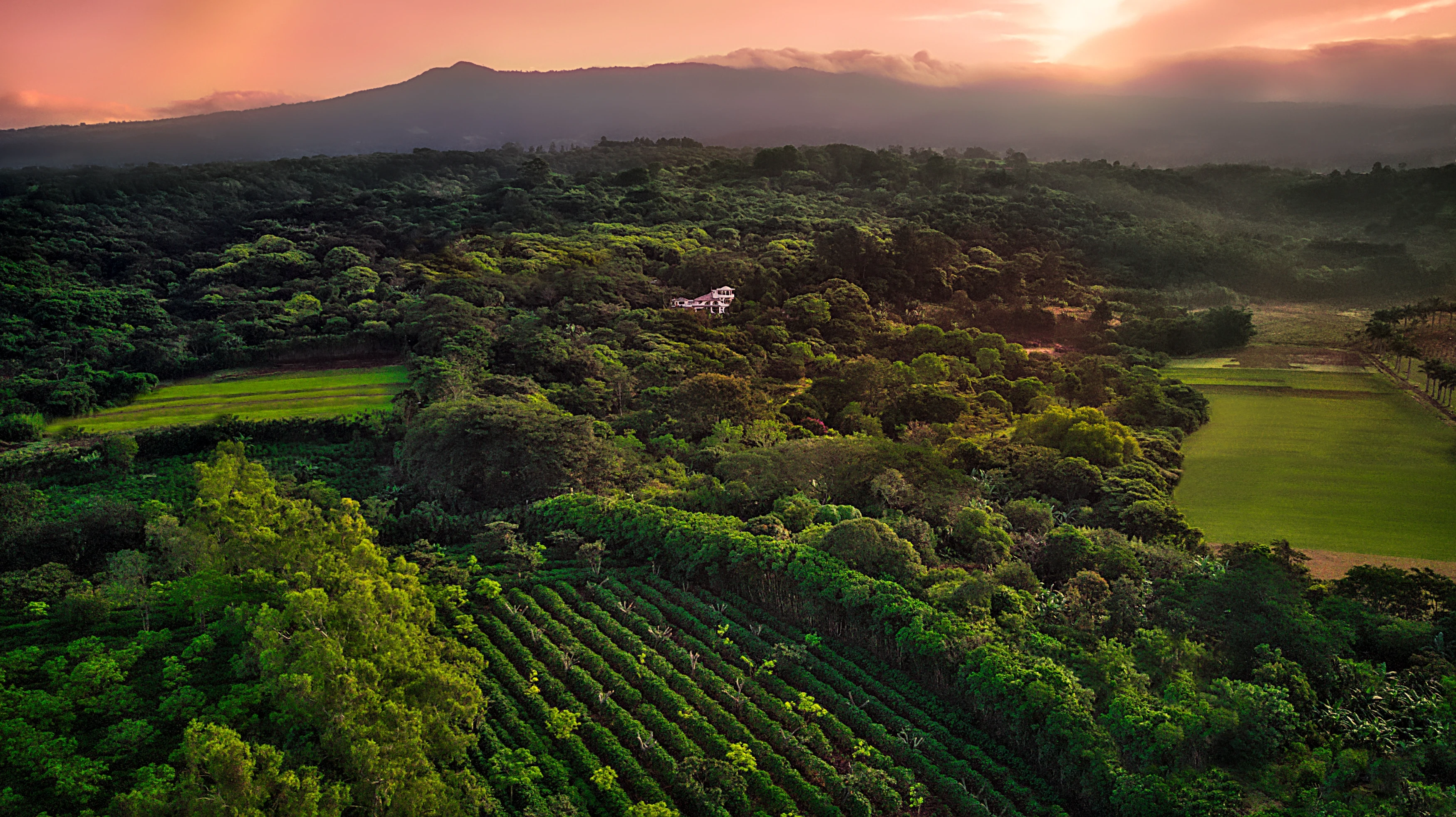 CR-accommodatie-Finca-Rosa-Blanca-header.webp