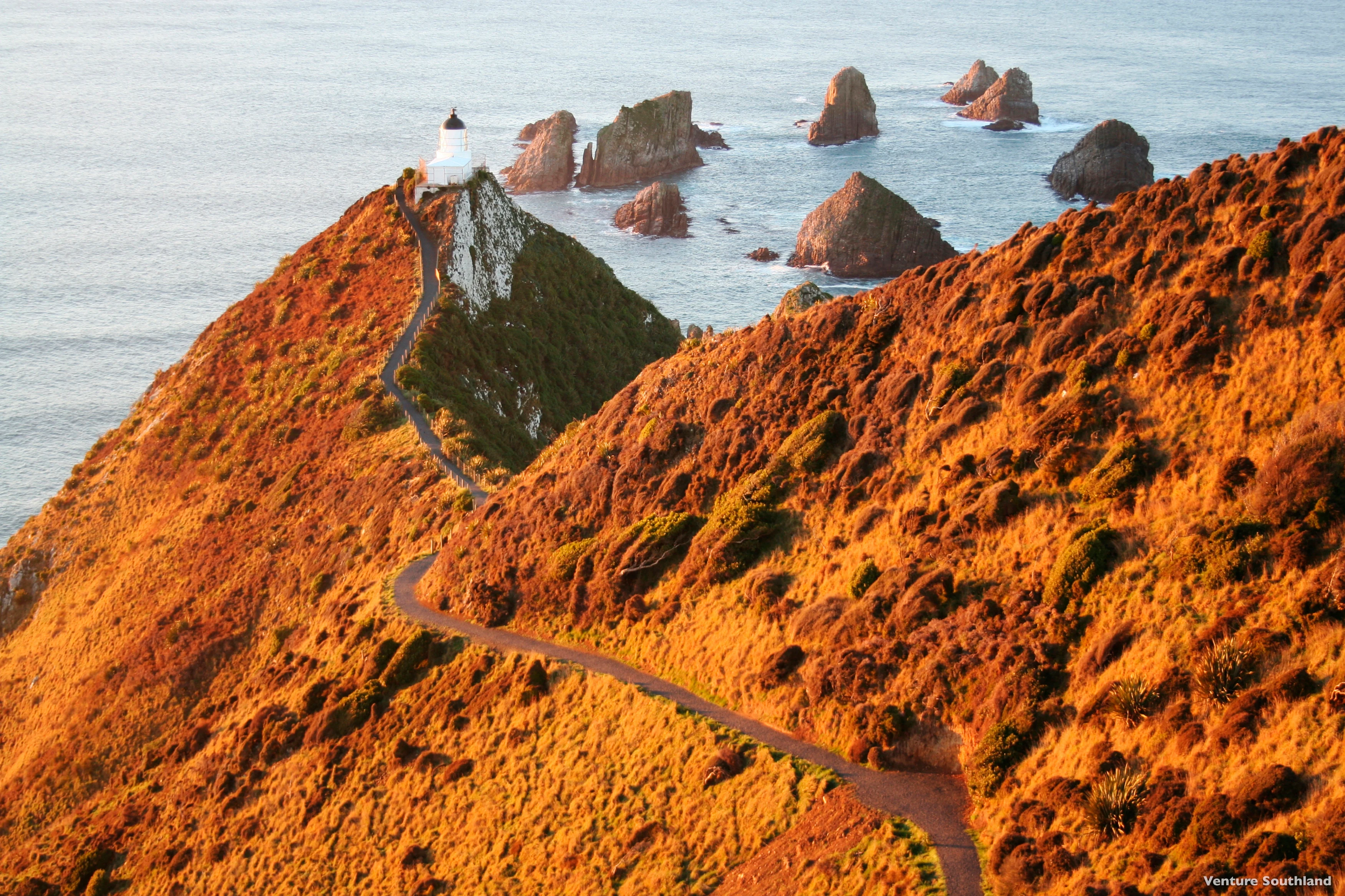 NZ - Southland - Nugget Point.webp