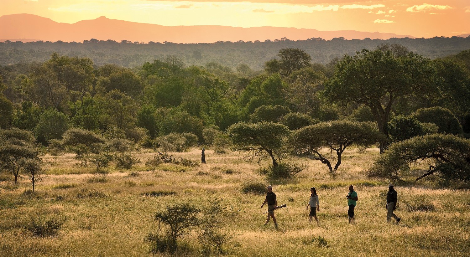 ZA-Lion Sands Narina Lodge-bush walk.jpg