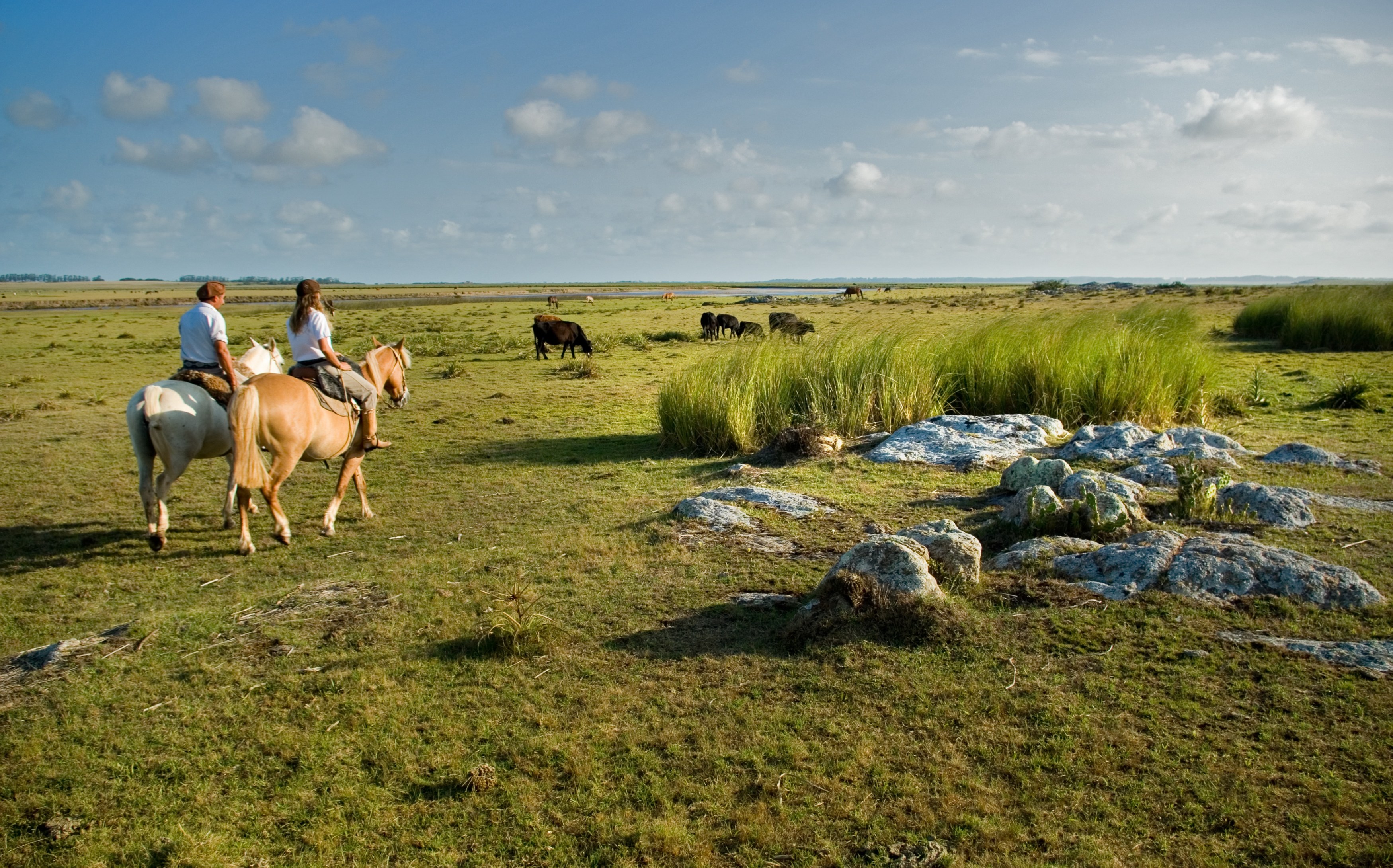 UY - Estancia Vik - Gauchos.jpg