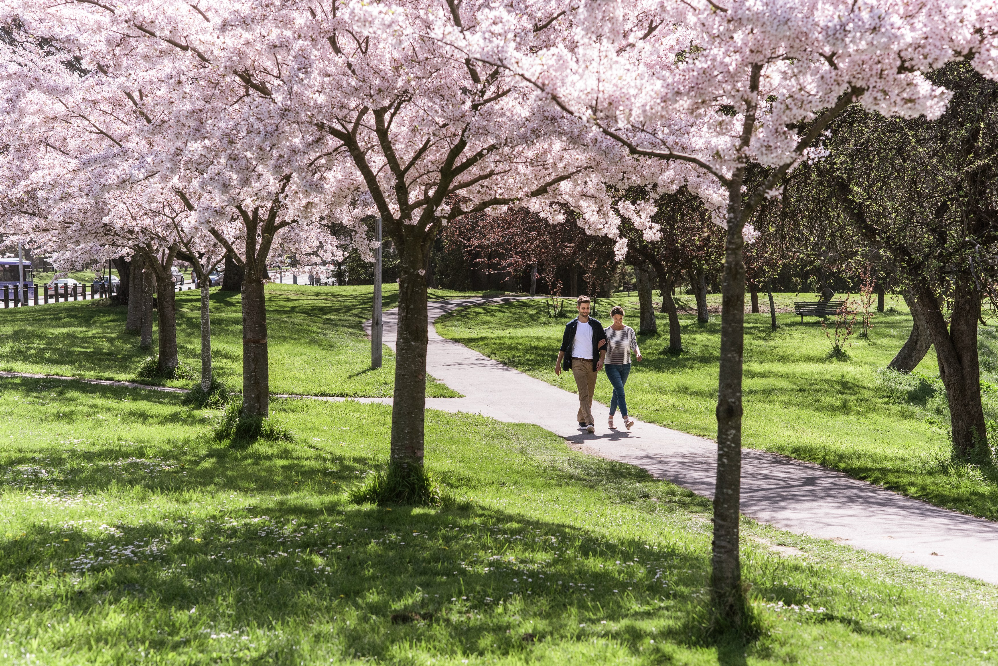 NZ-Hagley-Park-Christchurch.jpg