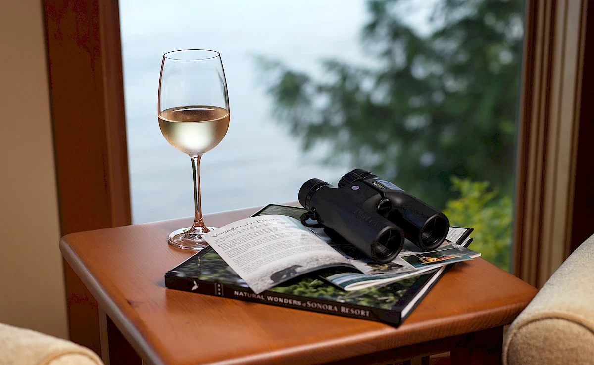 CA-Sonora-Binoculars.webp