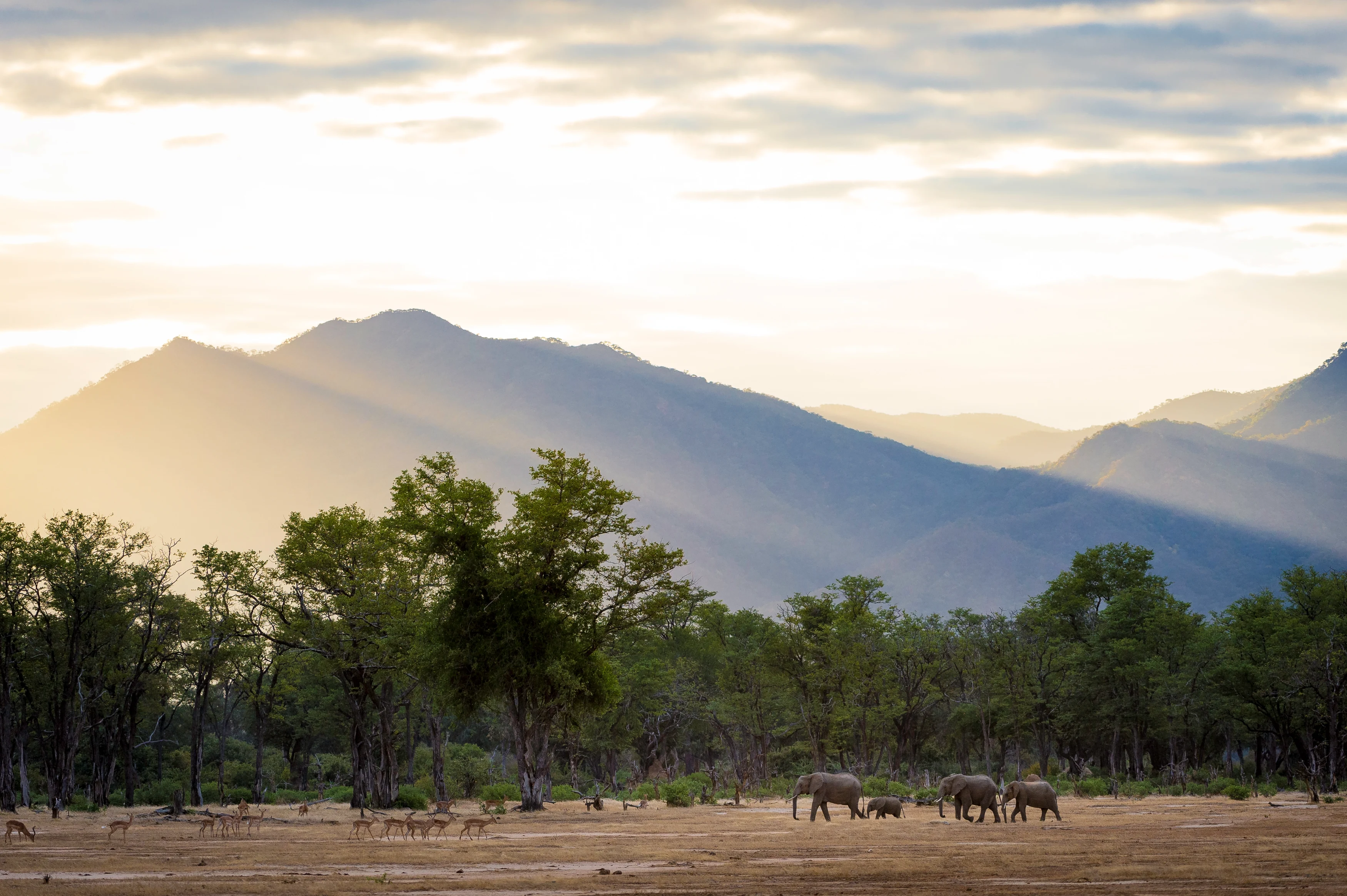 ZW - Ruckomechi Camp - Landscape.webp