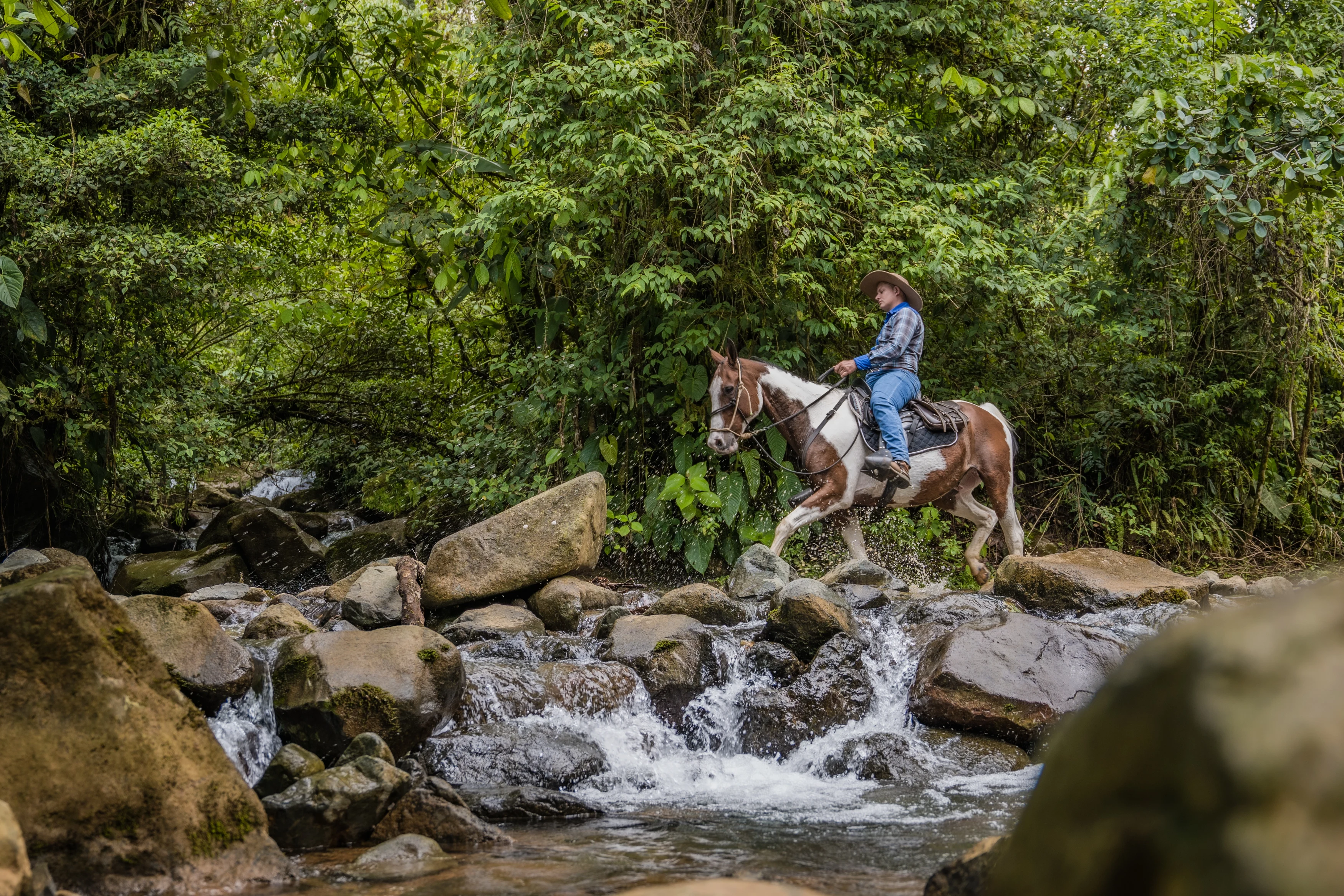 CR- Hacienda AltaGracia- A day horseriding - experience (2).webp
