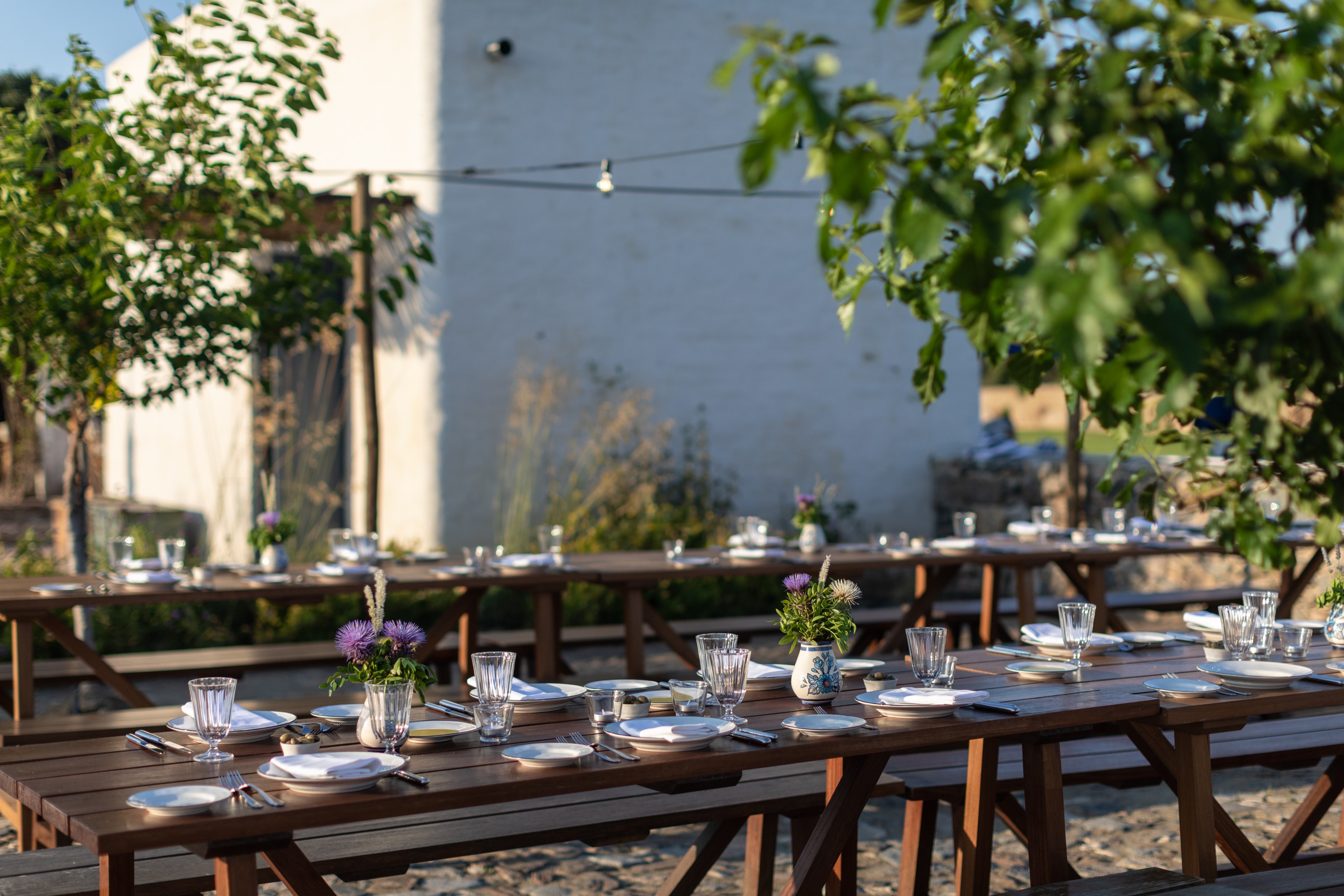 PT - São Lourenço do Barrocal - Outside dinner.jpg