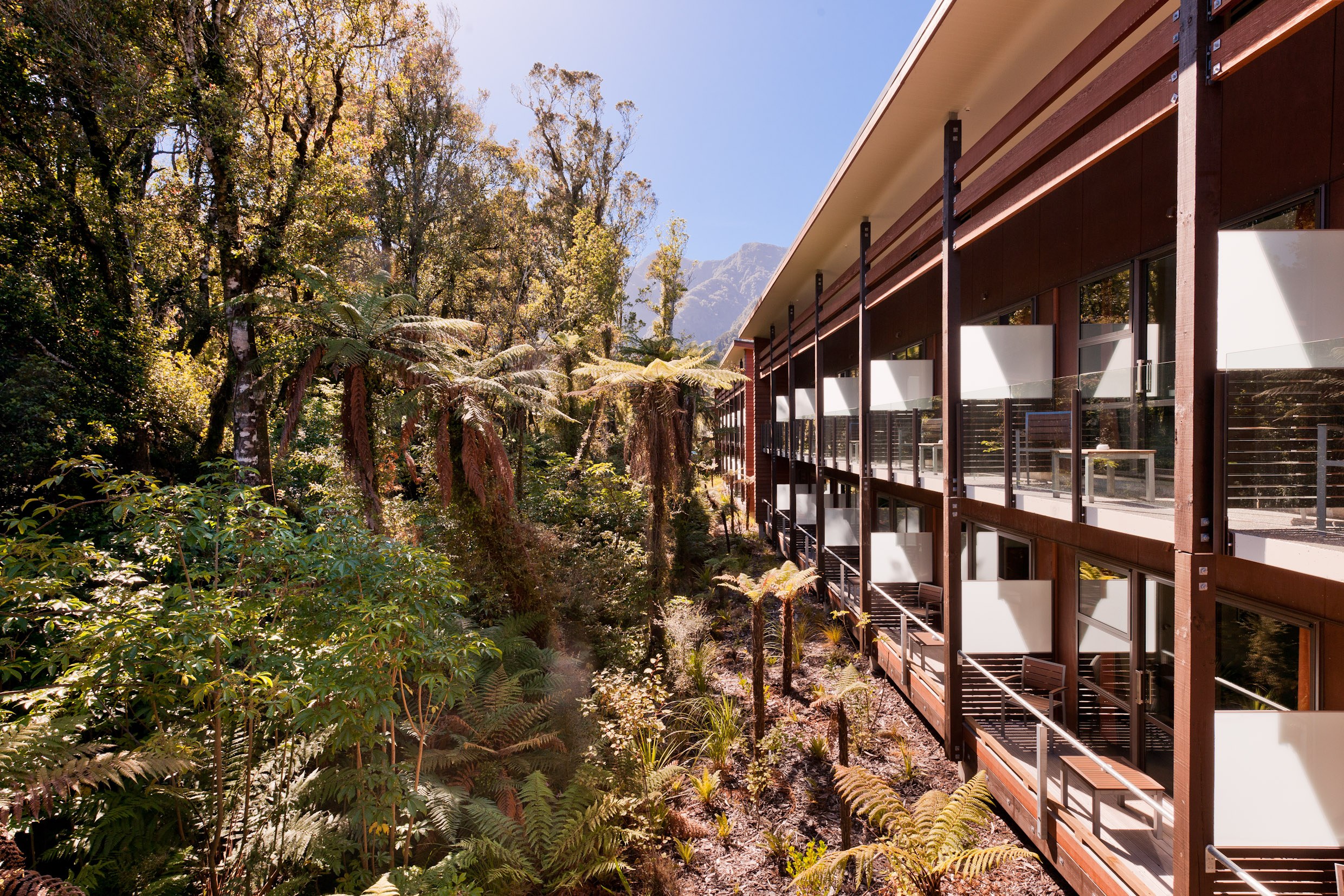 NZ - Te Waonui Forest Retreat - Exterior (3).jpg