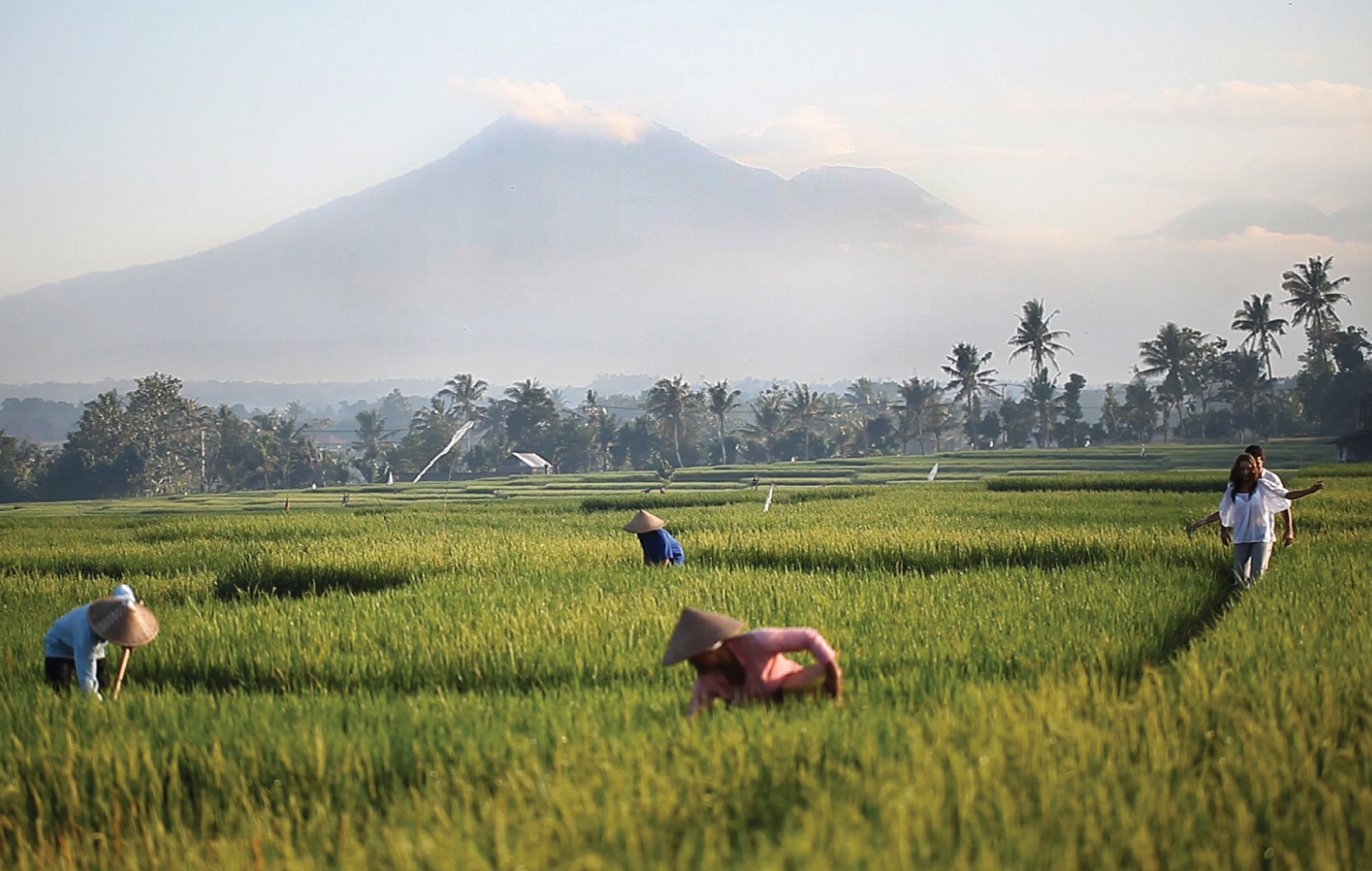 ID - Soori Bali - View to Rice Fields and Volcano.webp