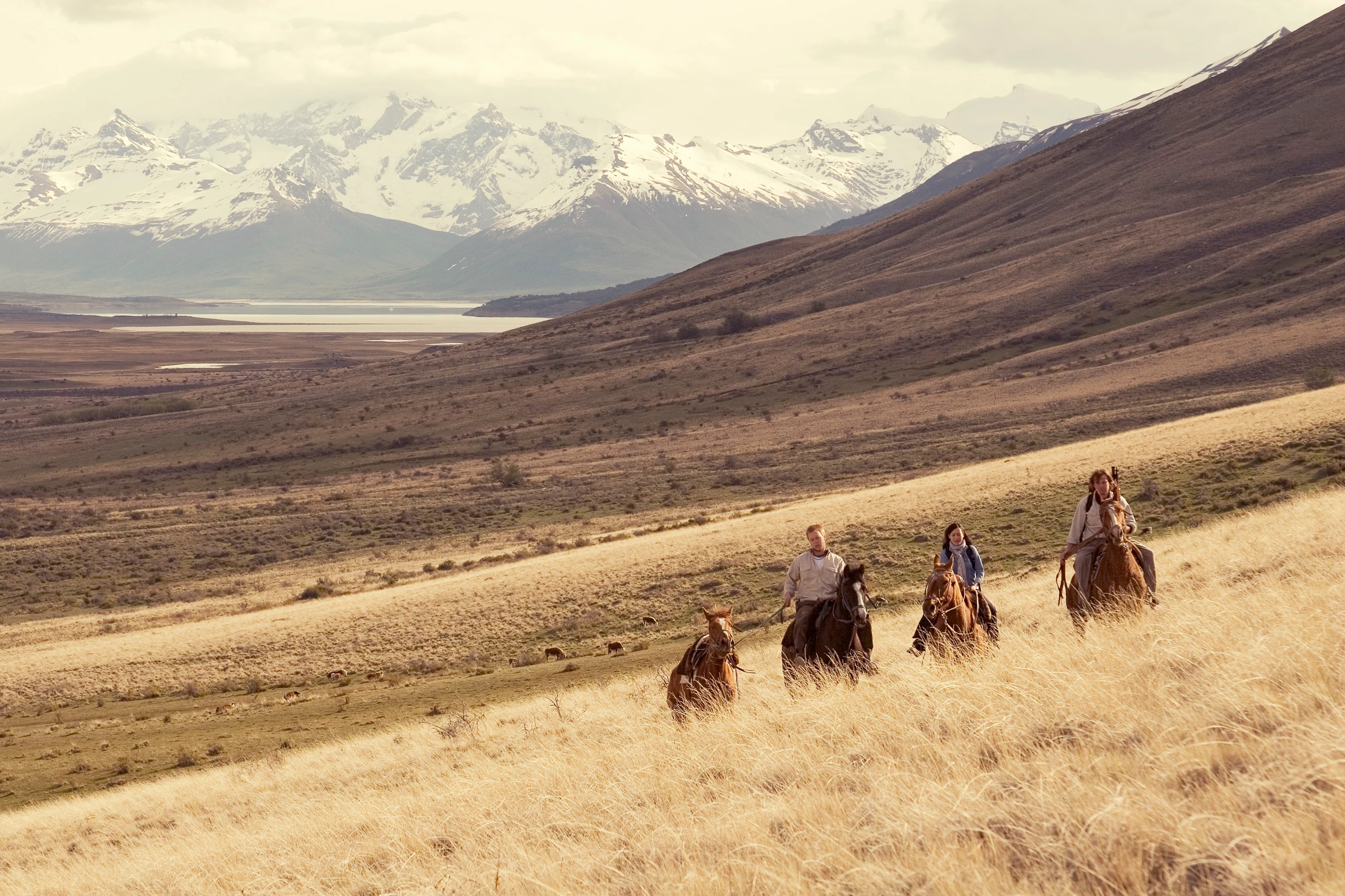 AR - Eolo Lodge Horseback riding 1.webp