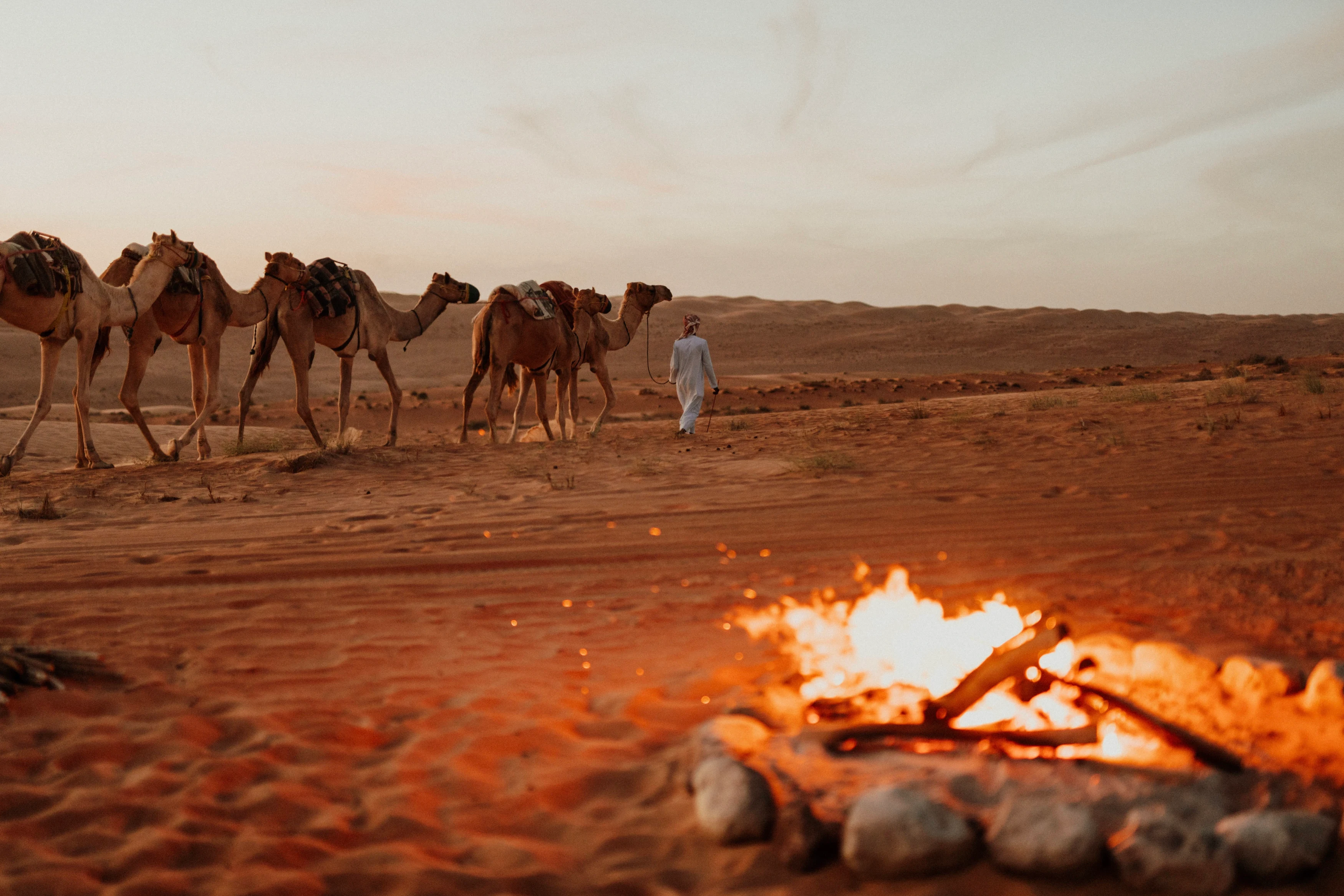 OM - Excursie - Wahibah Sands - Vuur + kamelen.webp