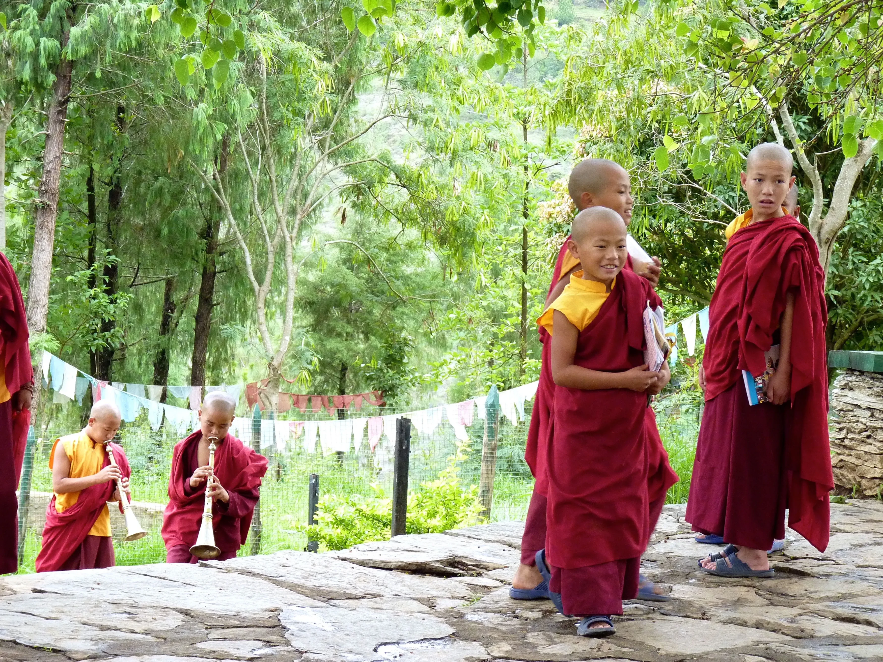 BT-Punakha-MonnikkenbijChimiLakhang (1).webp