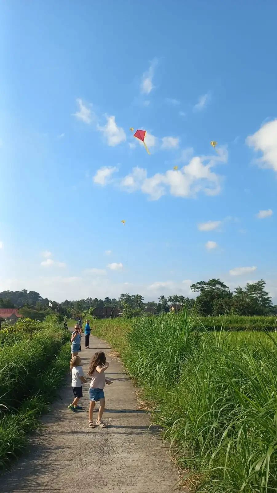 ID - Bali - Kite making.webp