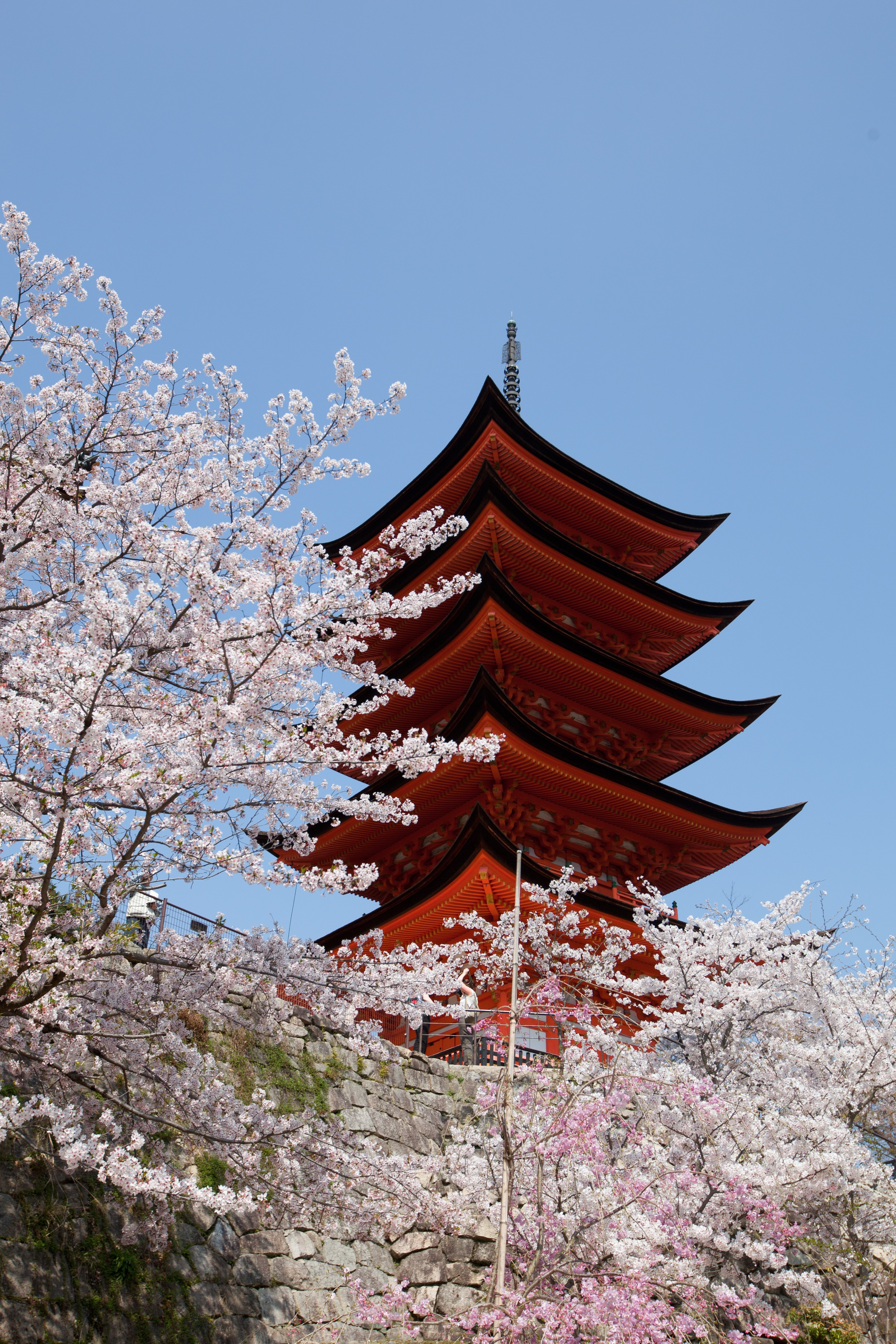 JP - Miyajima Five-storey Pagoda.jpg