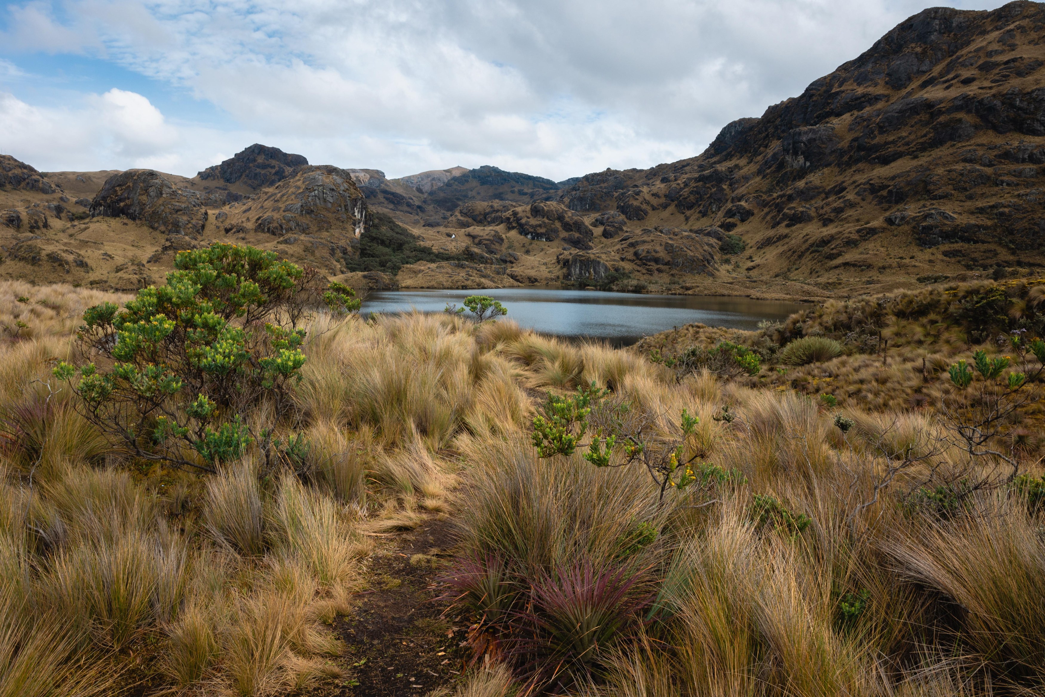 keishpixl-lake-6791971.jpg