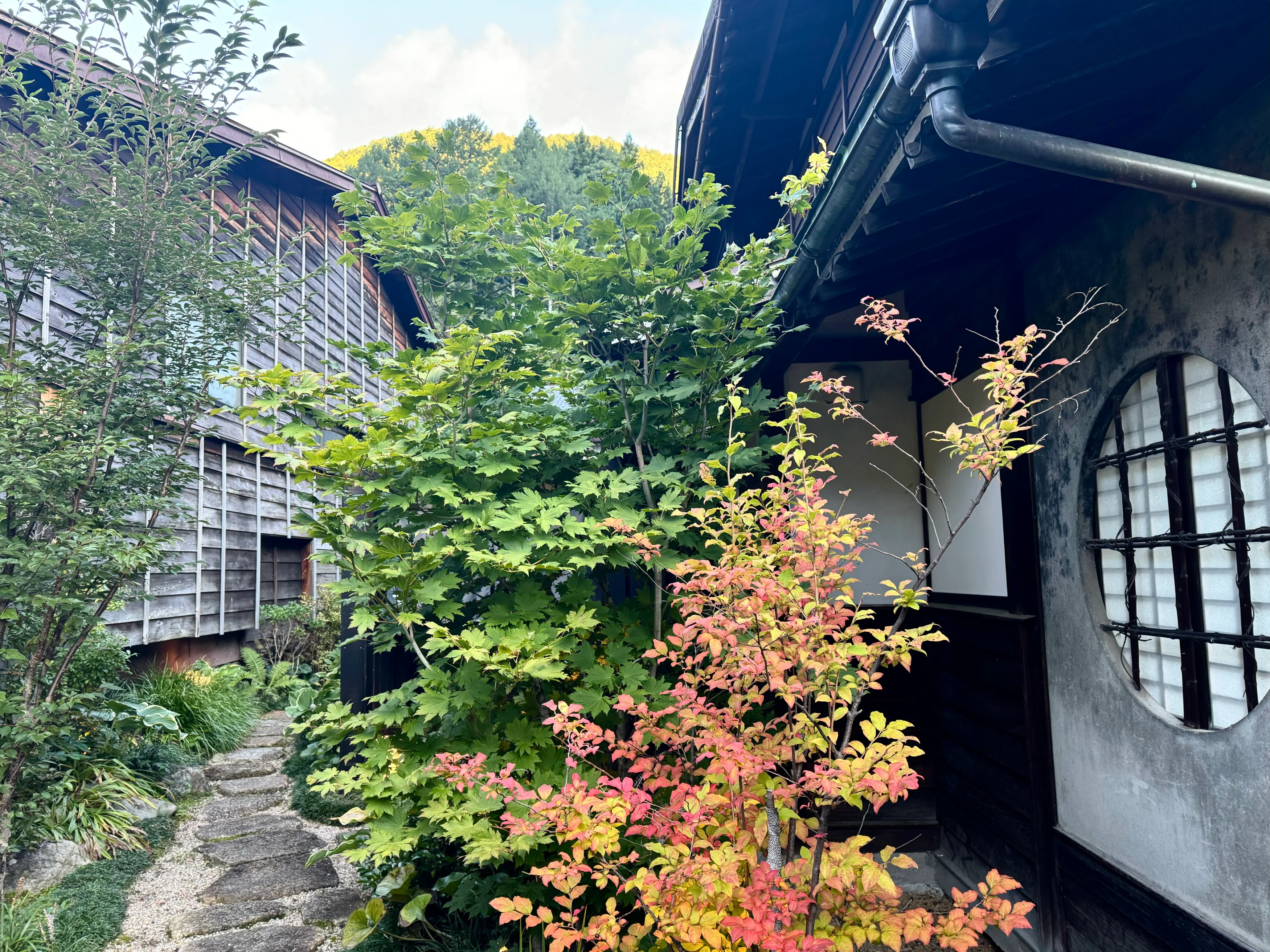 JA - Byaku Narai - omgeving.webp