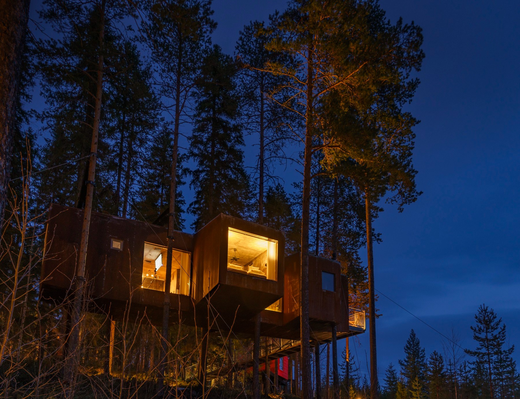 SE - Accommodatie - TREEHOTEL - Dragon Fly 5 .jpg