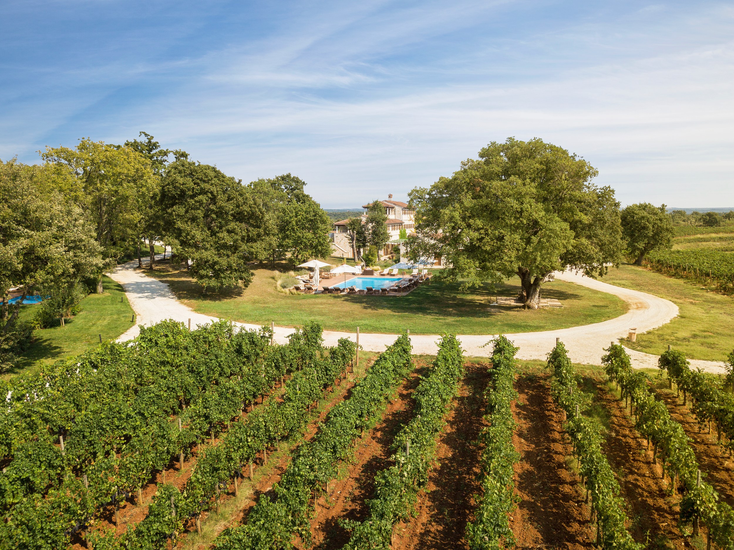 HR - Meneghetti Wine Hotel - Vineyard.jpg