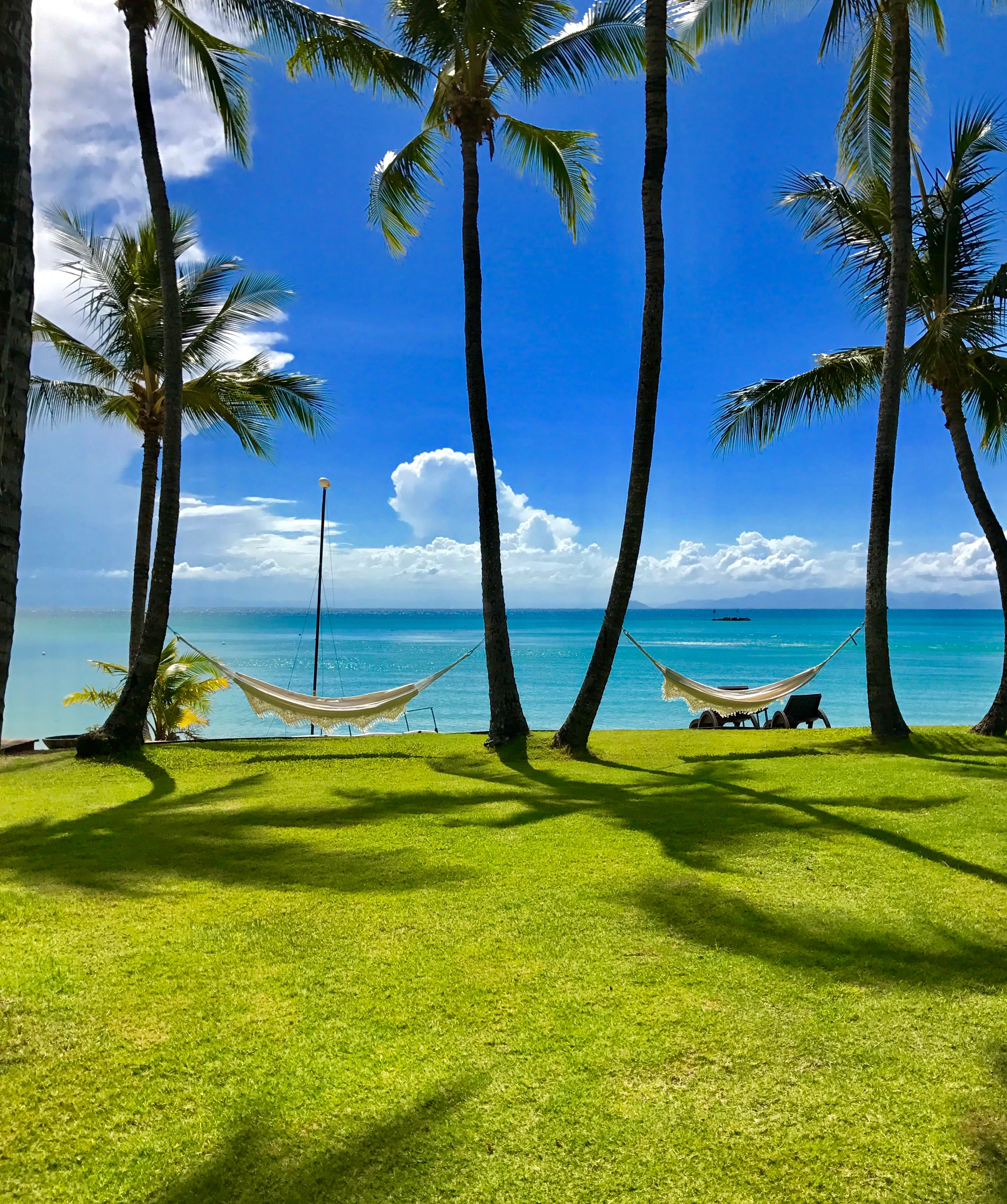 AU - Orpheus Island - hammocks.webp