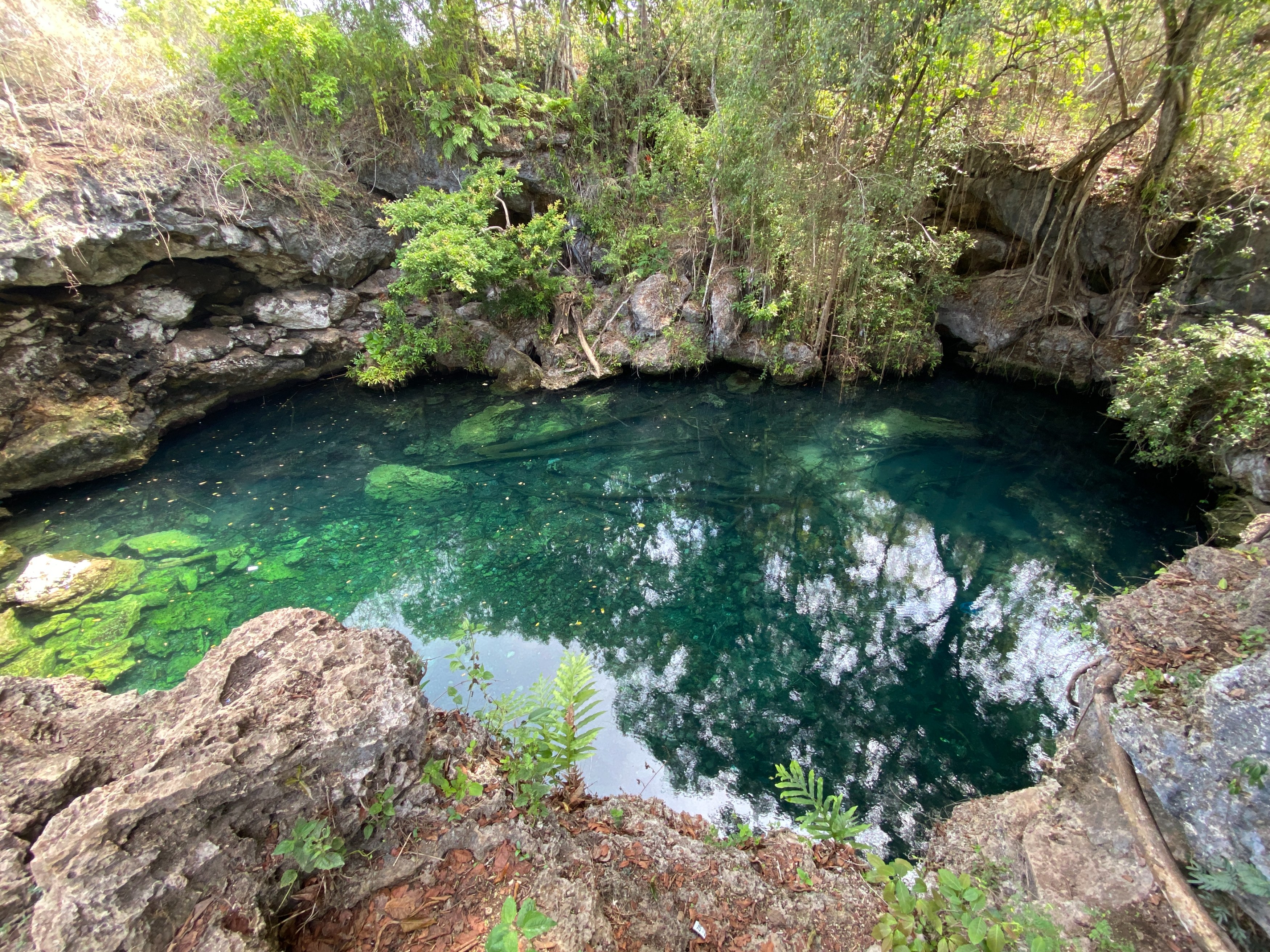 ID - Excursie - Waepaneba Lagoon.JPG