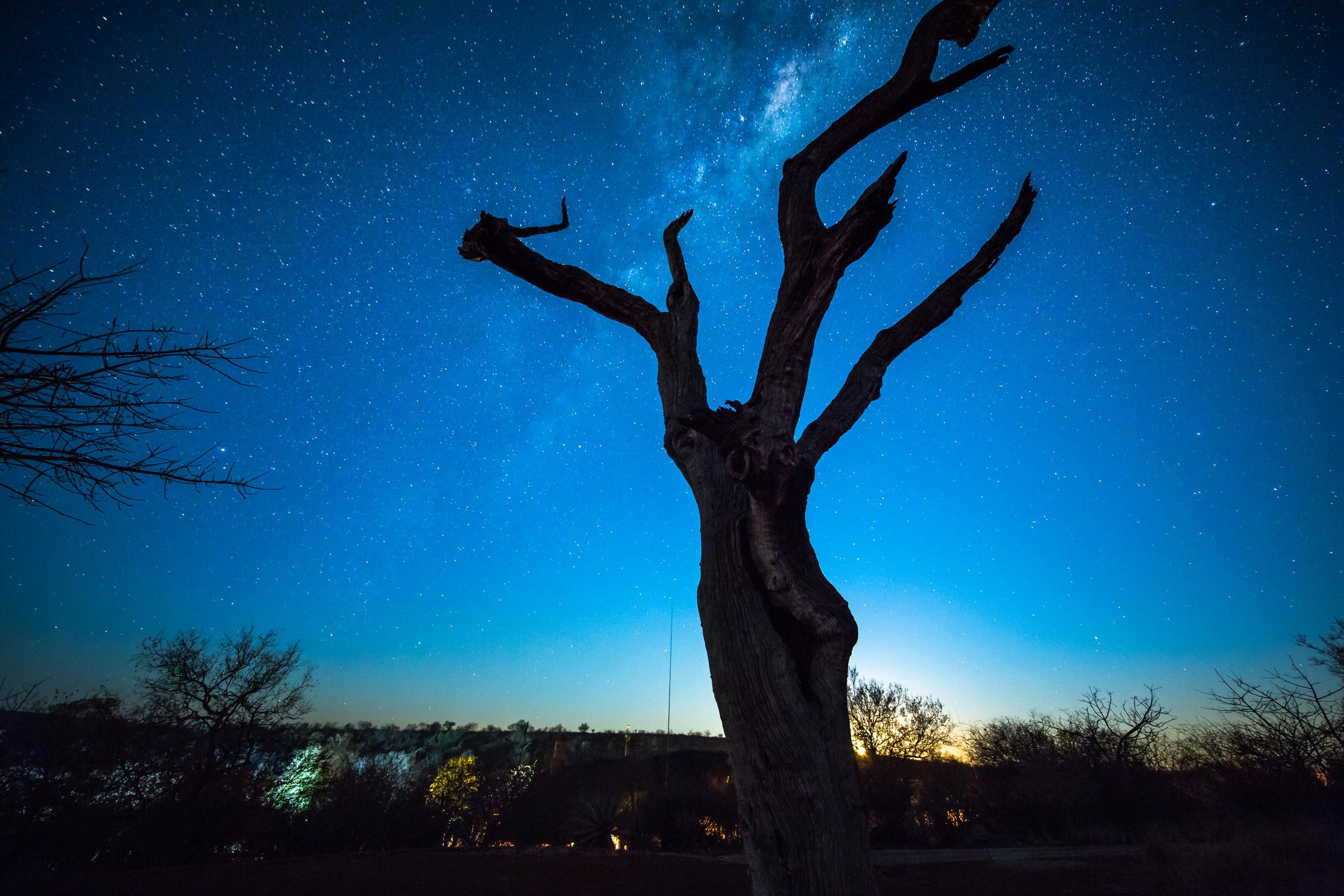 ZA-The Royal Madikwe-stargazing.jpg