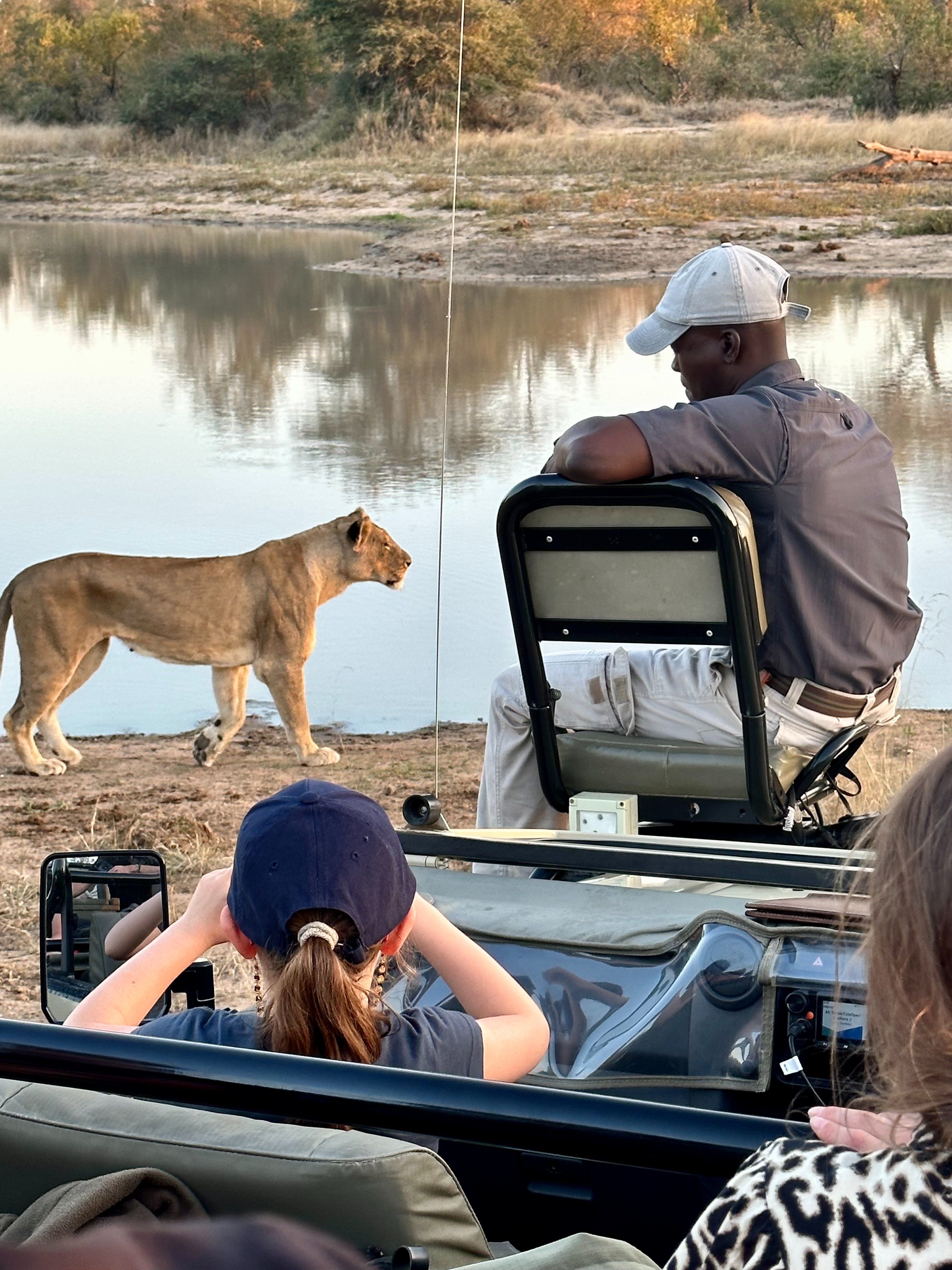 ZA-Evelien 2024- Walkers Plains - Lion going for a drink.jpg