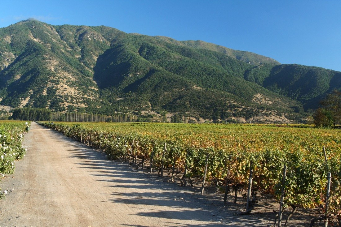 CL_-_Colchagua.jpg