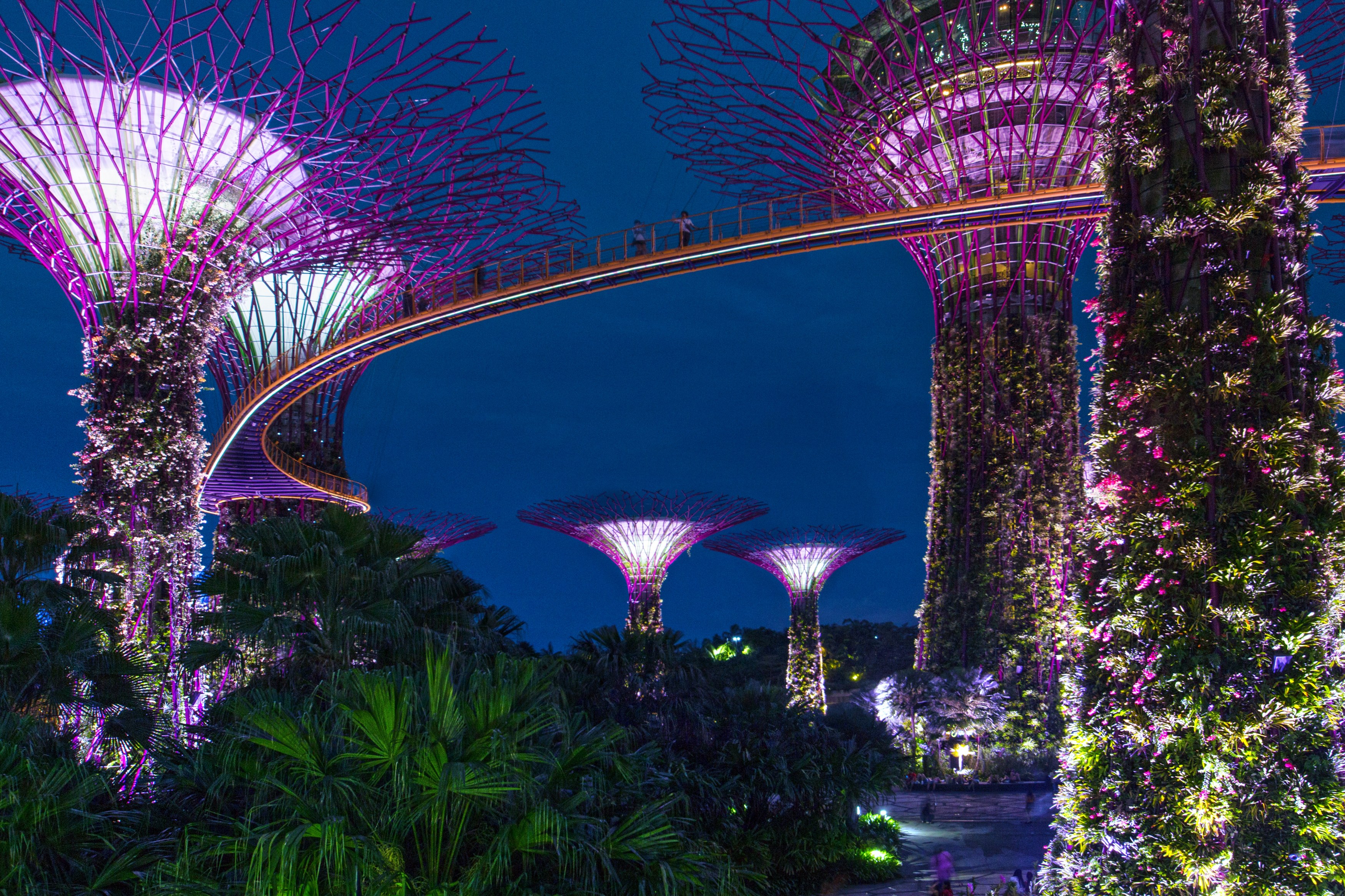 SG - Garden by the Bay (2).jpg