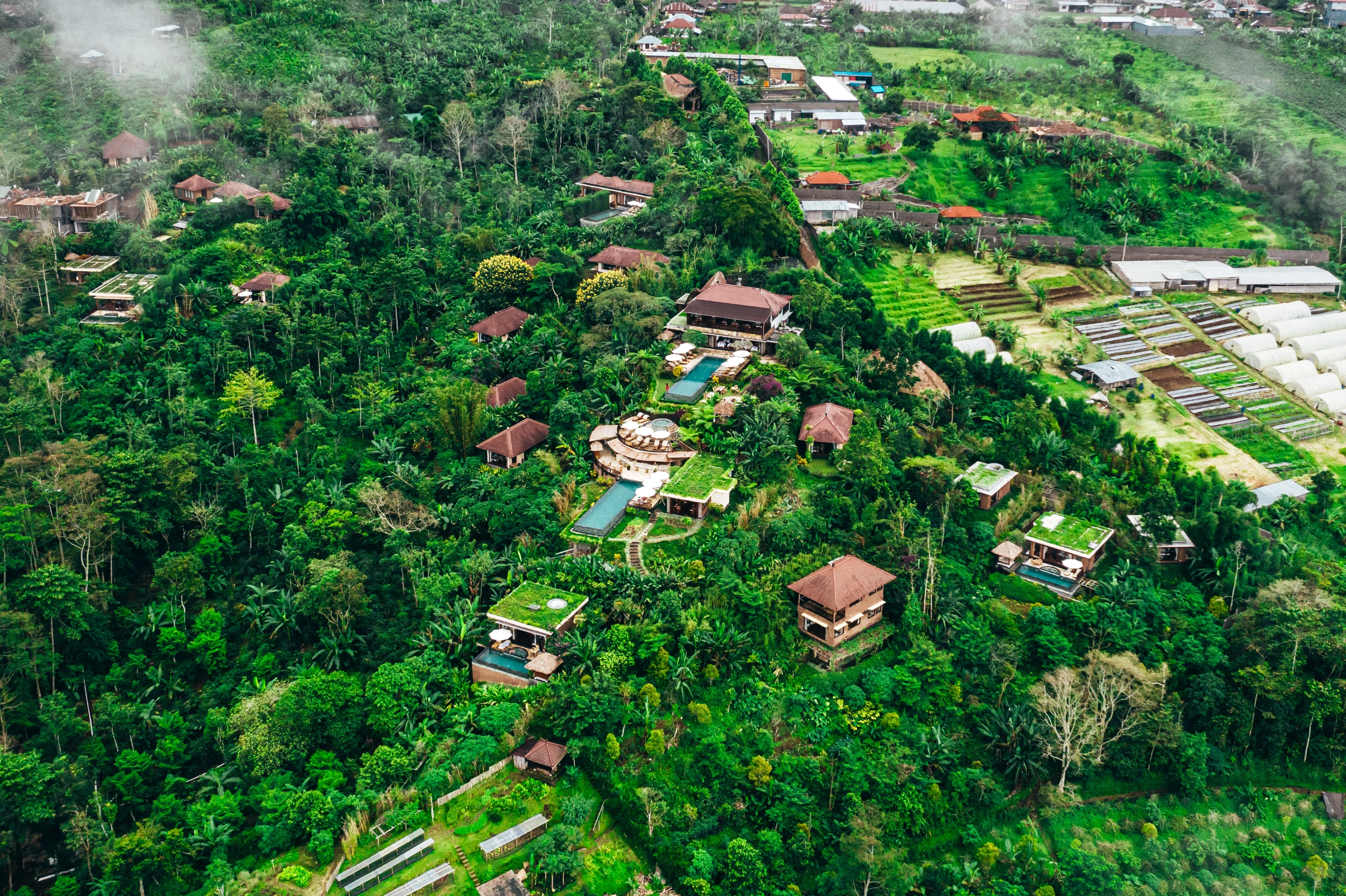 IN - Munduk Moding Plantation - Arial View Away.webp