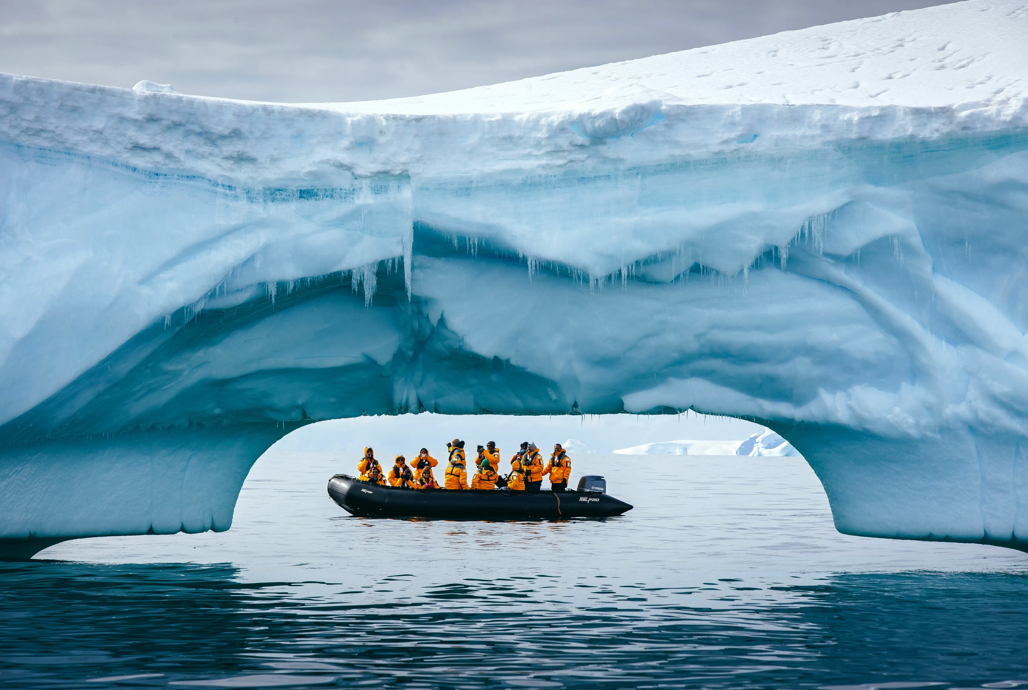 AQ - iceberg with zodiac.webp