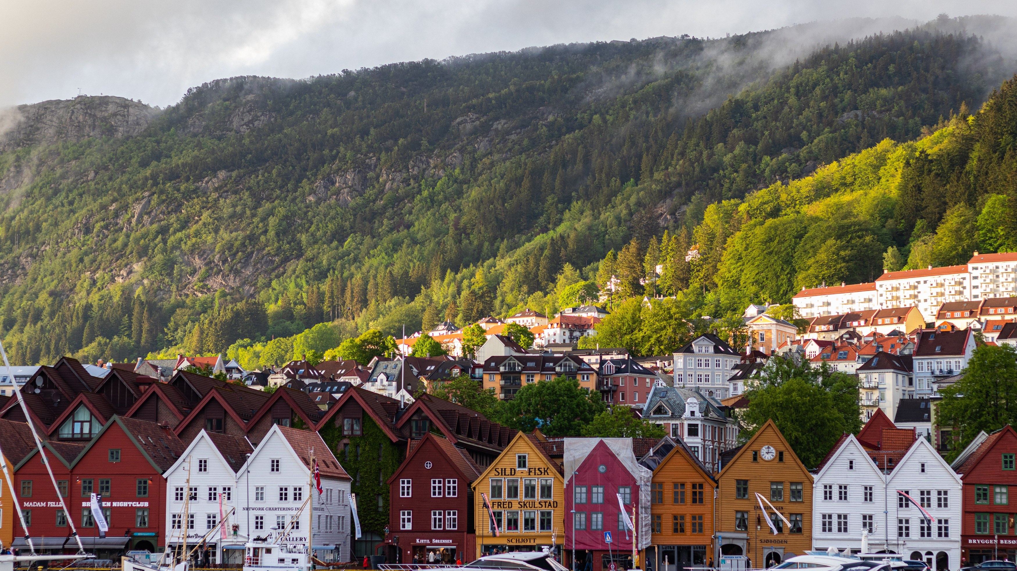 randgruppe-norway-4252178.jpg