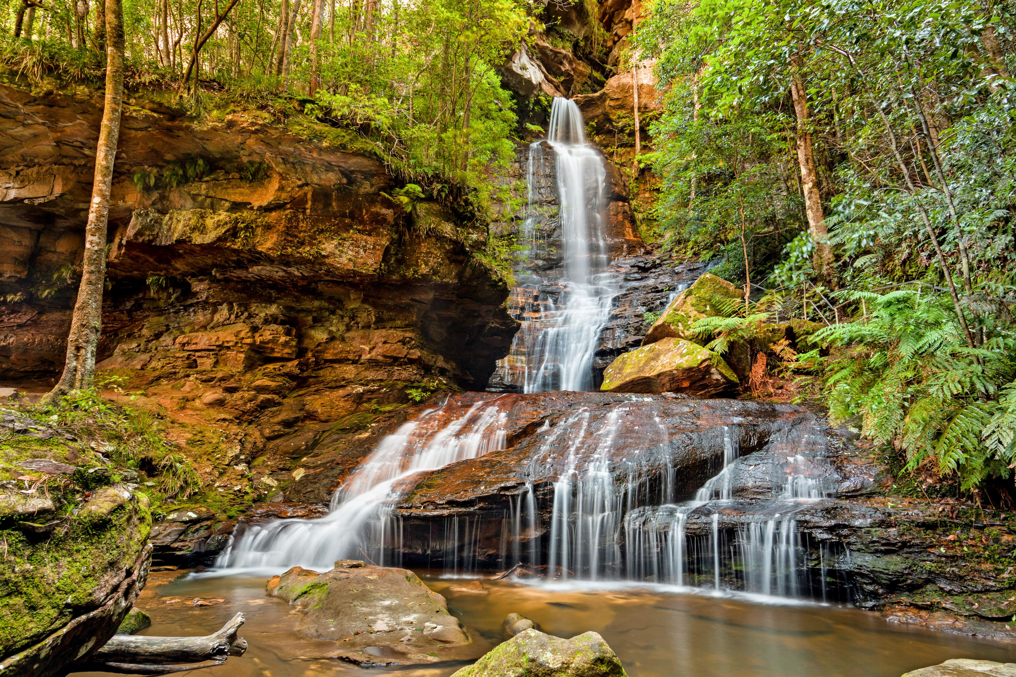 AU-Excursie-Darwin-on-Darwin-Waterfalls.jpg