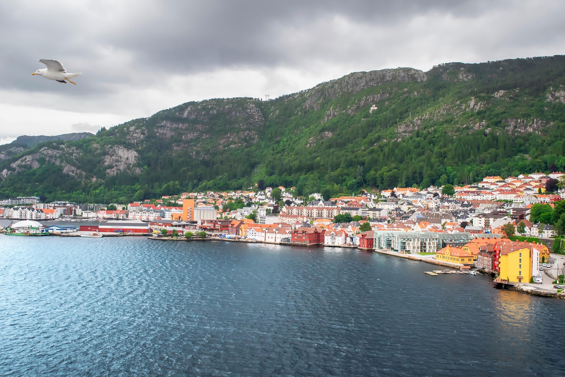 NO-Bergen Stad.jpg