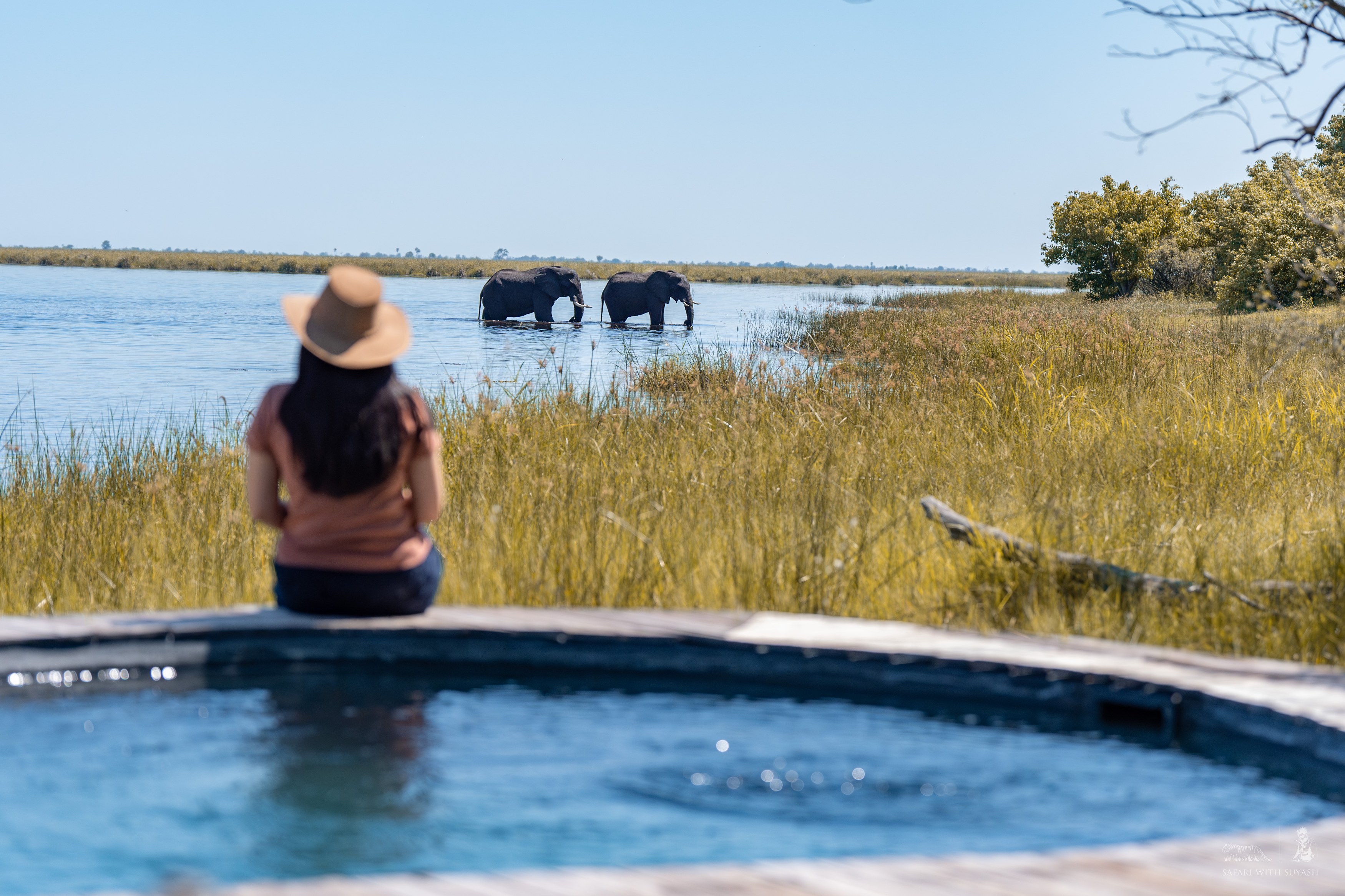 BW-accommodat-Little-Duma-Tau-zwembad-olifant.jpg