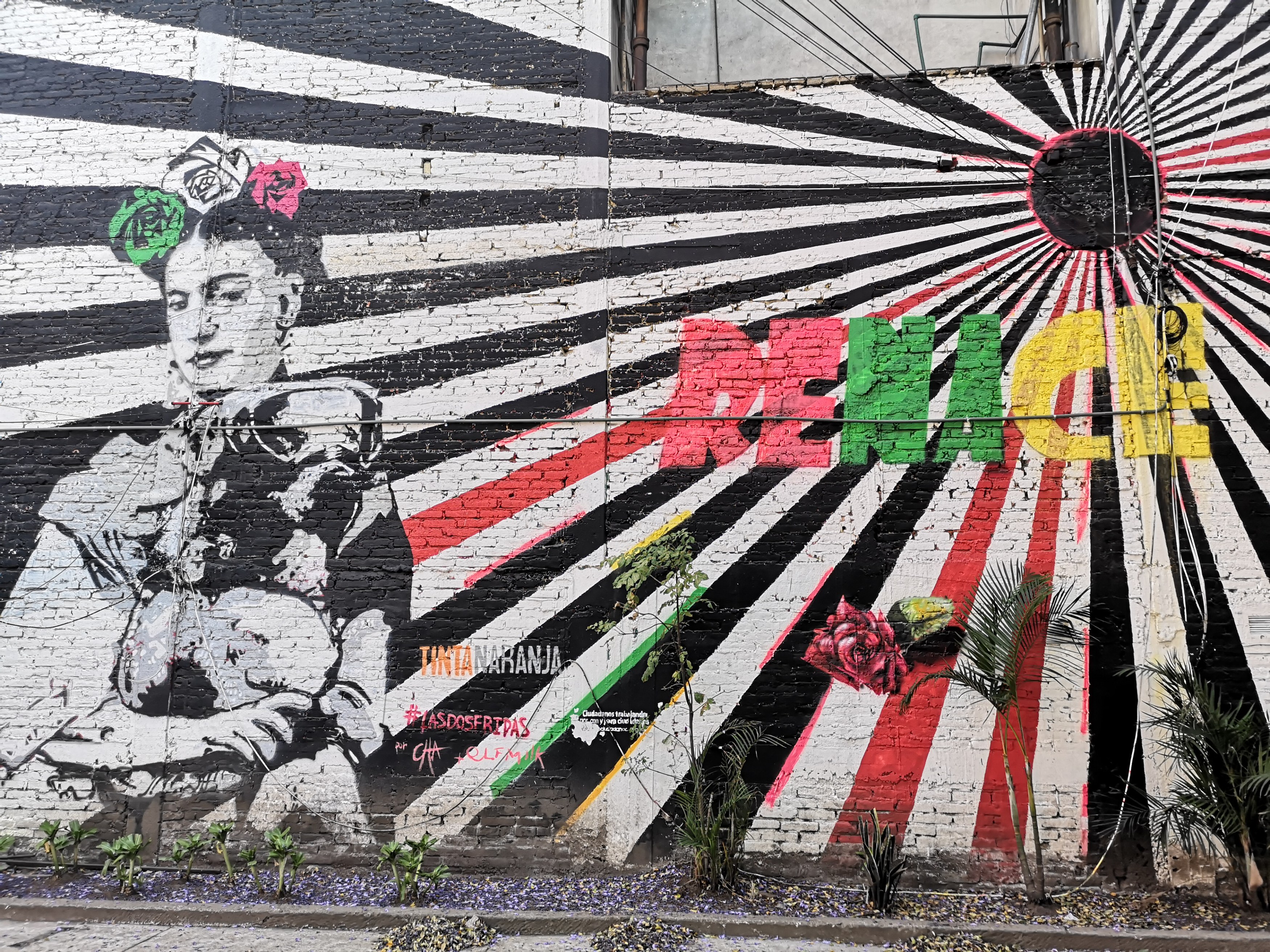 MX-Excursie-Street Art.jpg