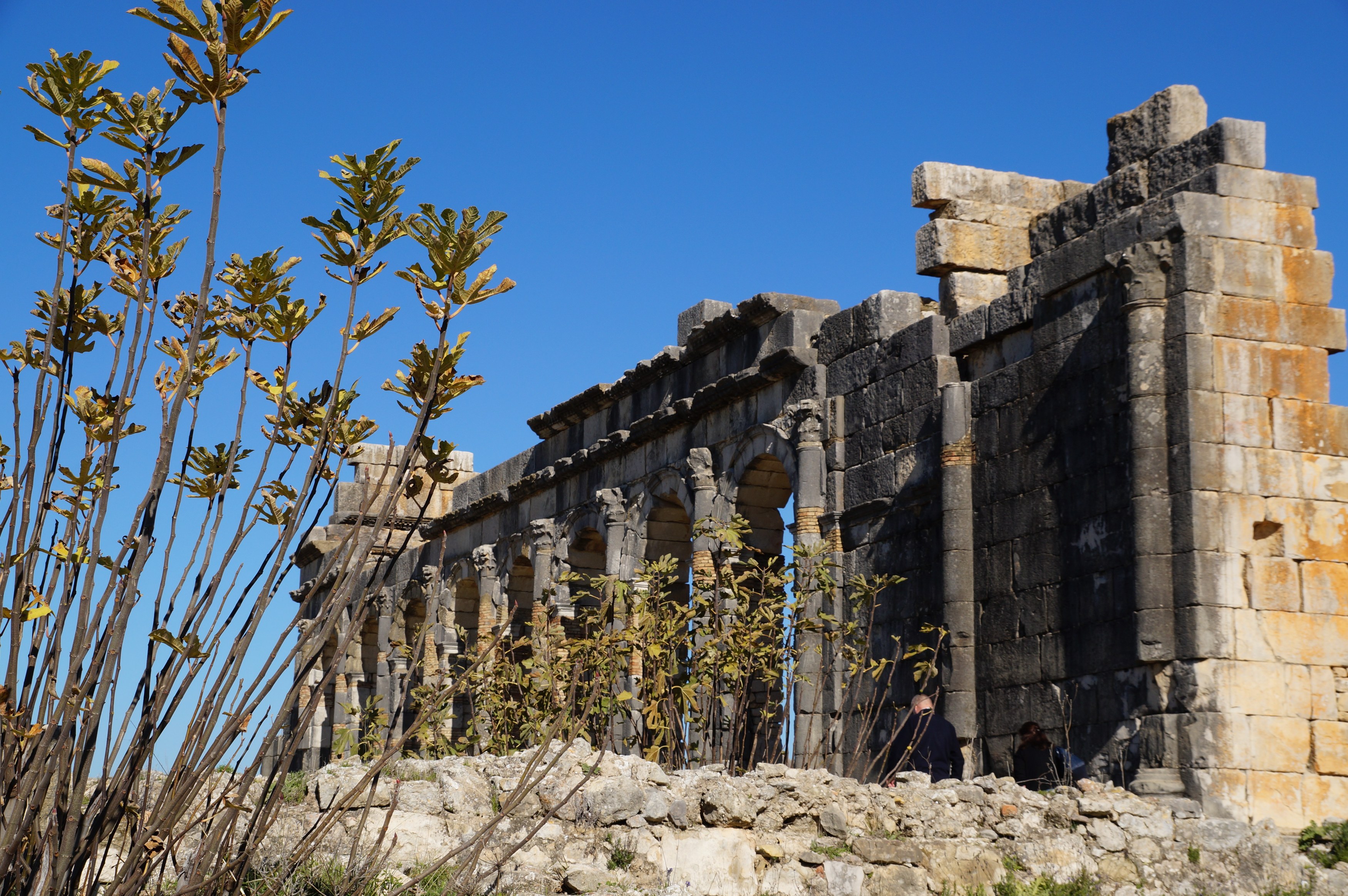 MA-Excursie-Volubilis-Chateau-+Roslane-Winery-ruines.jpg