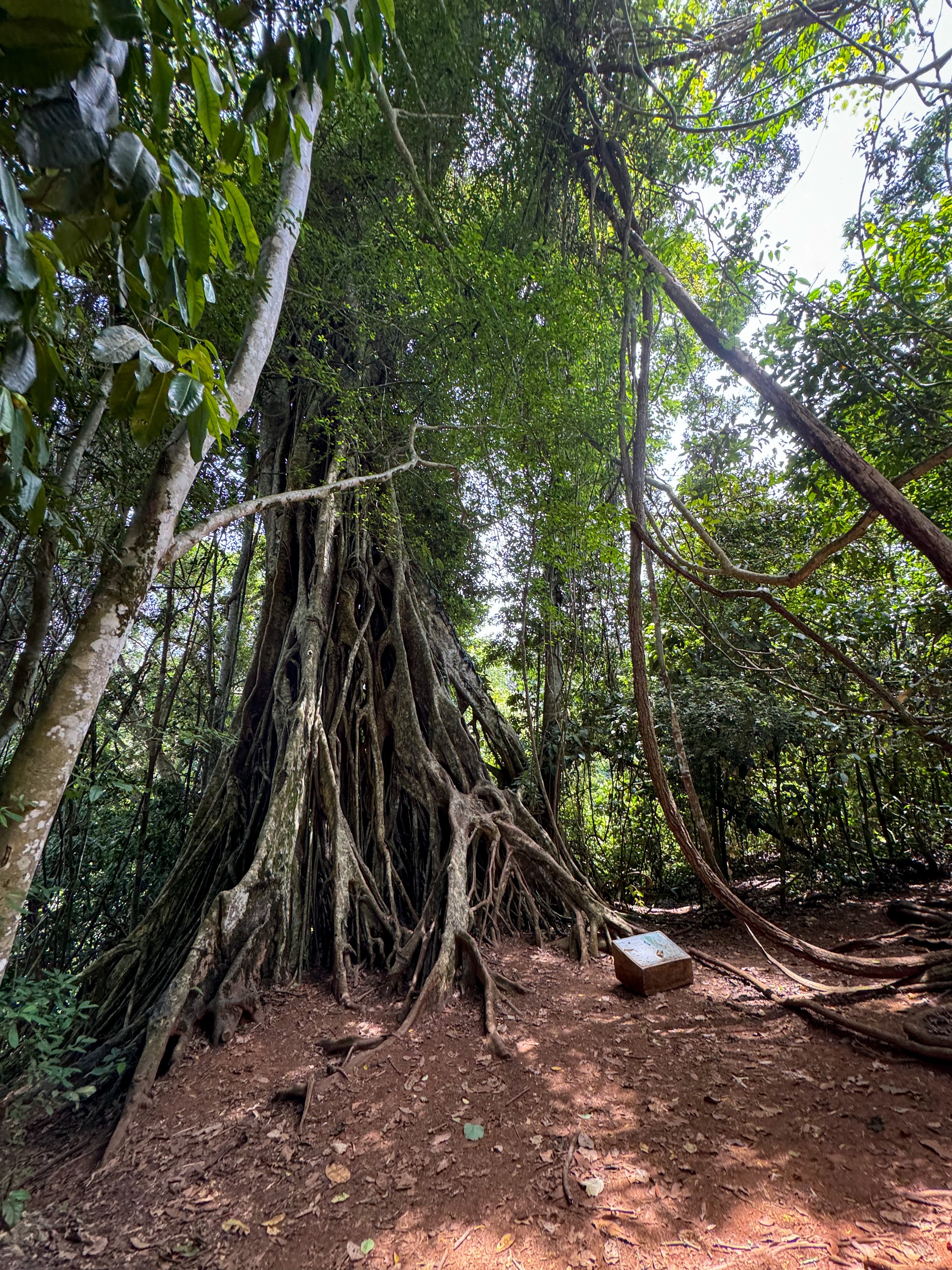 TH - Studiereis Astrid - Khao Yai (16).jpeg