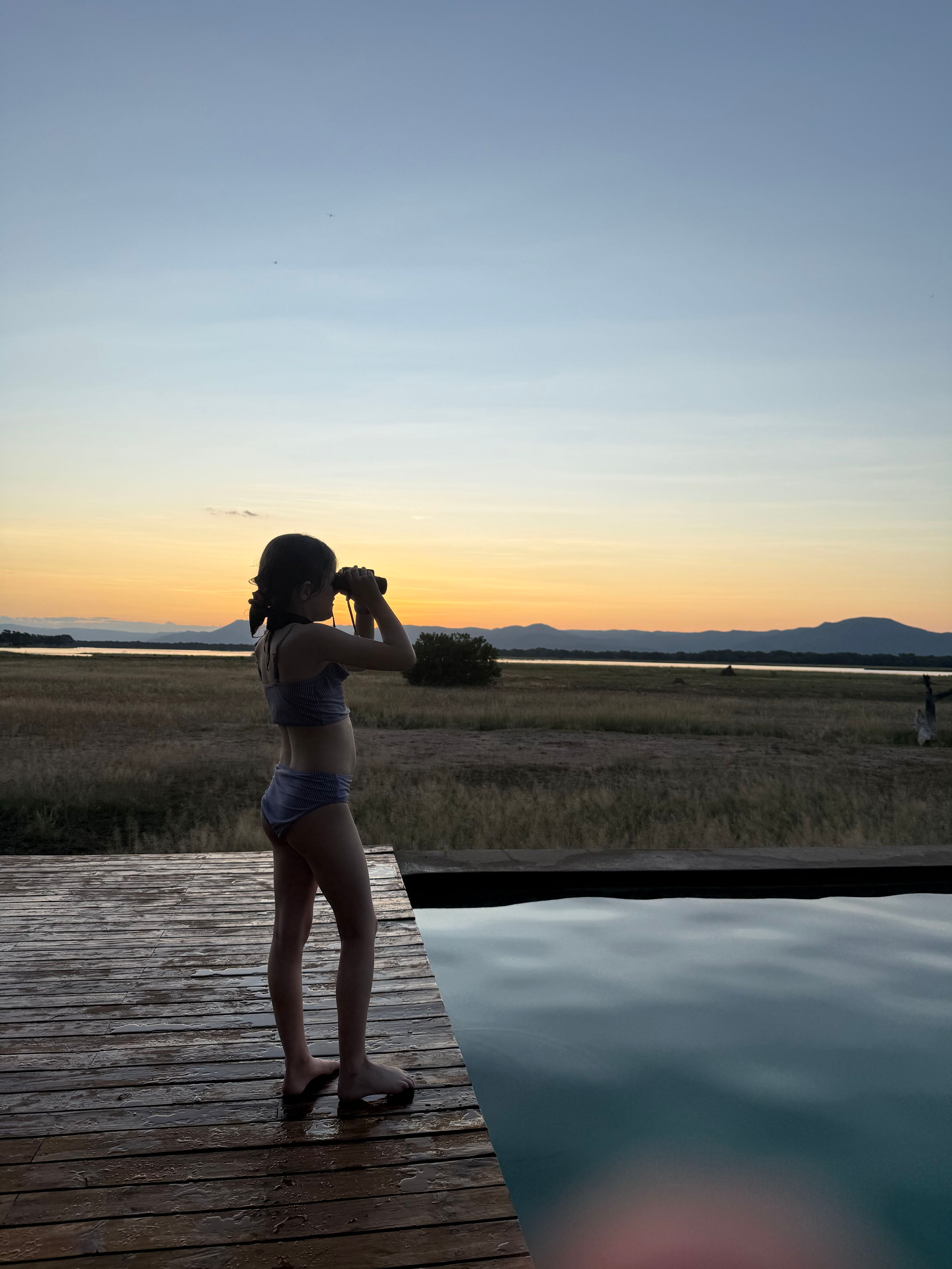 ZW-Chikwenya-Mana Pools-Uitkijken over de Zambezi.png