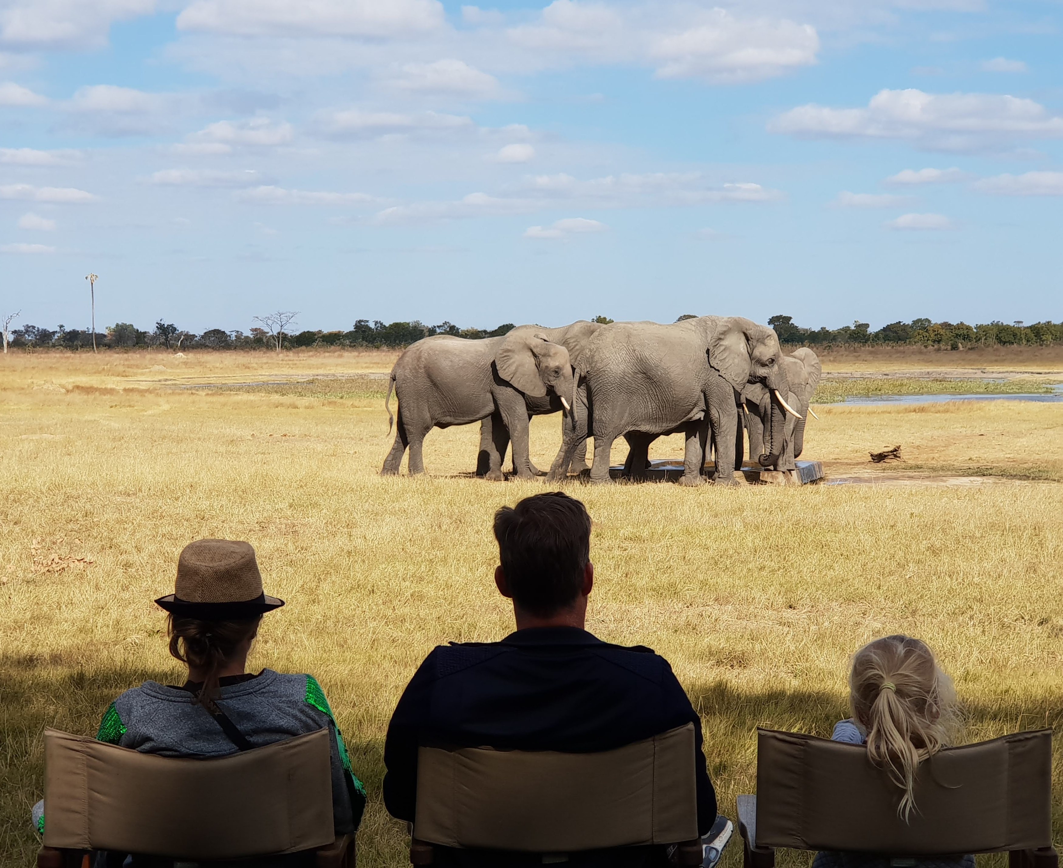 ZW-Armchair Safari- Davissons-Annegiene.jpg