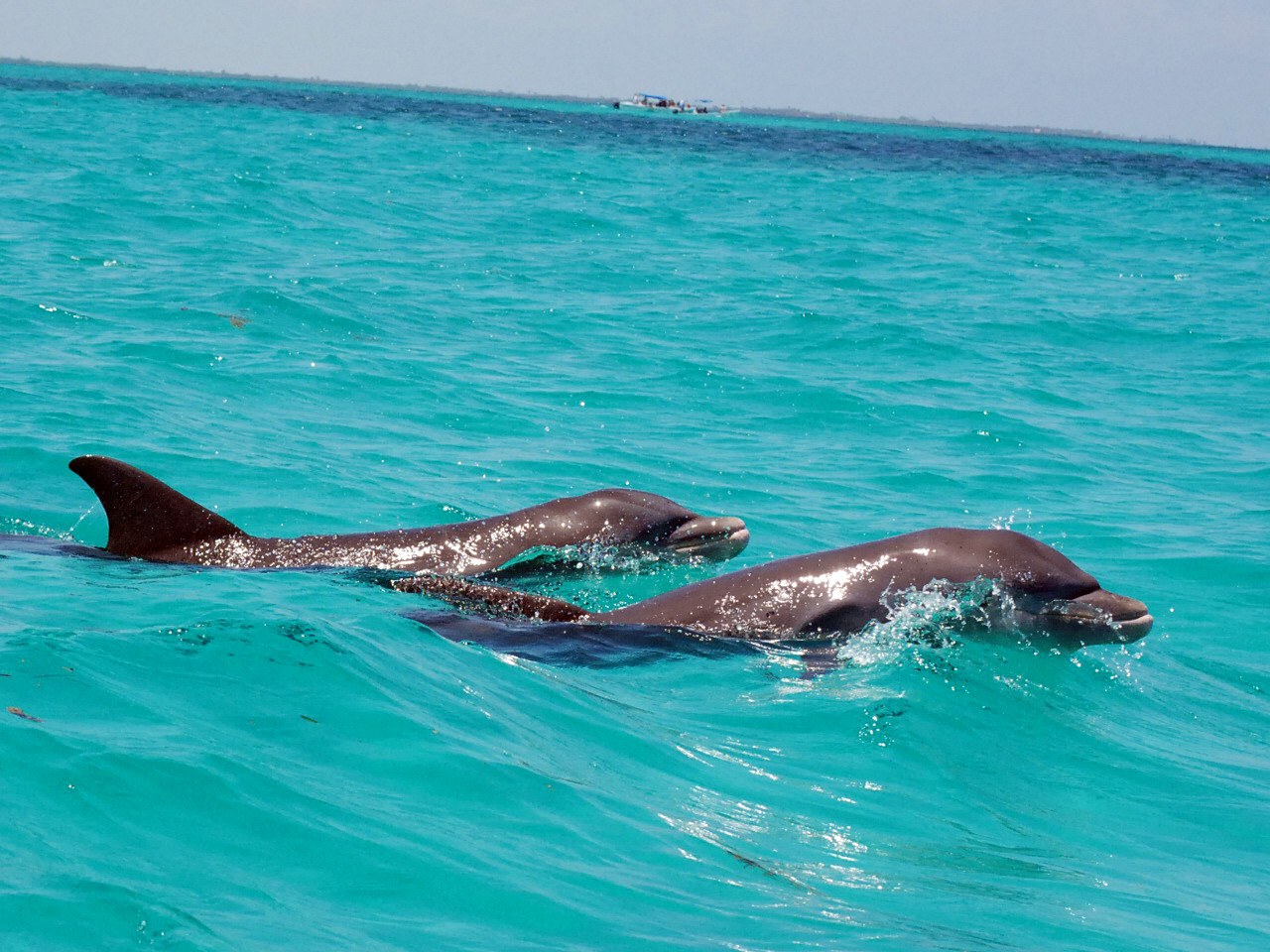 MX - Tulum - Sian Ka’an Biosphere Reserve.JPG