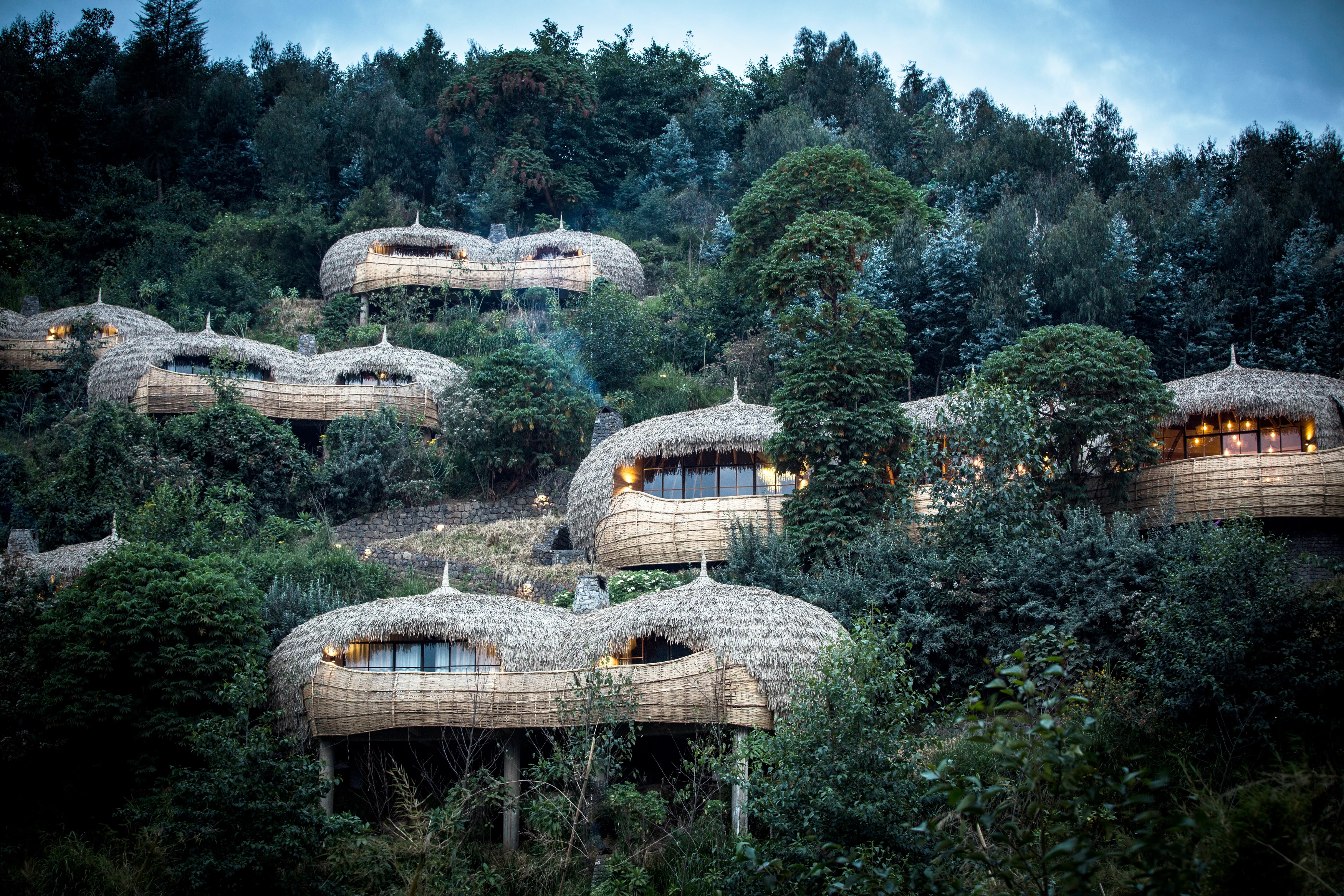 RW - Bisate lodge.webp